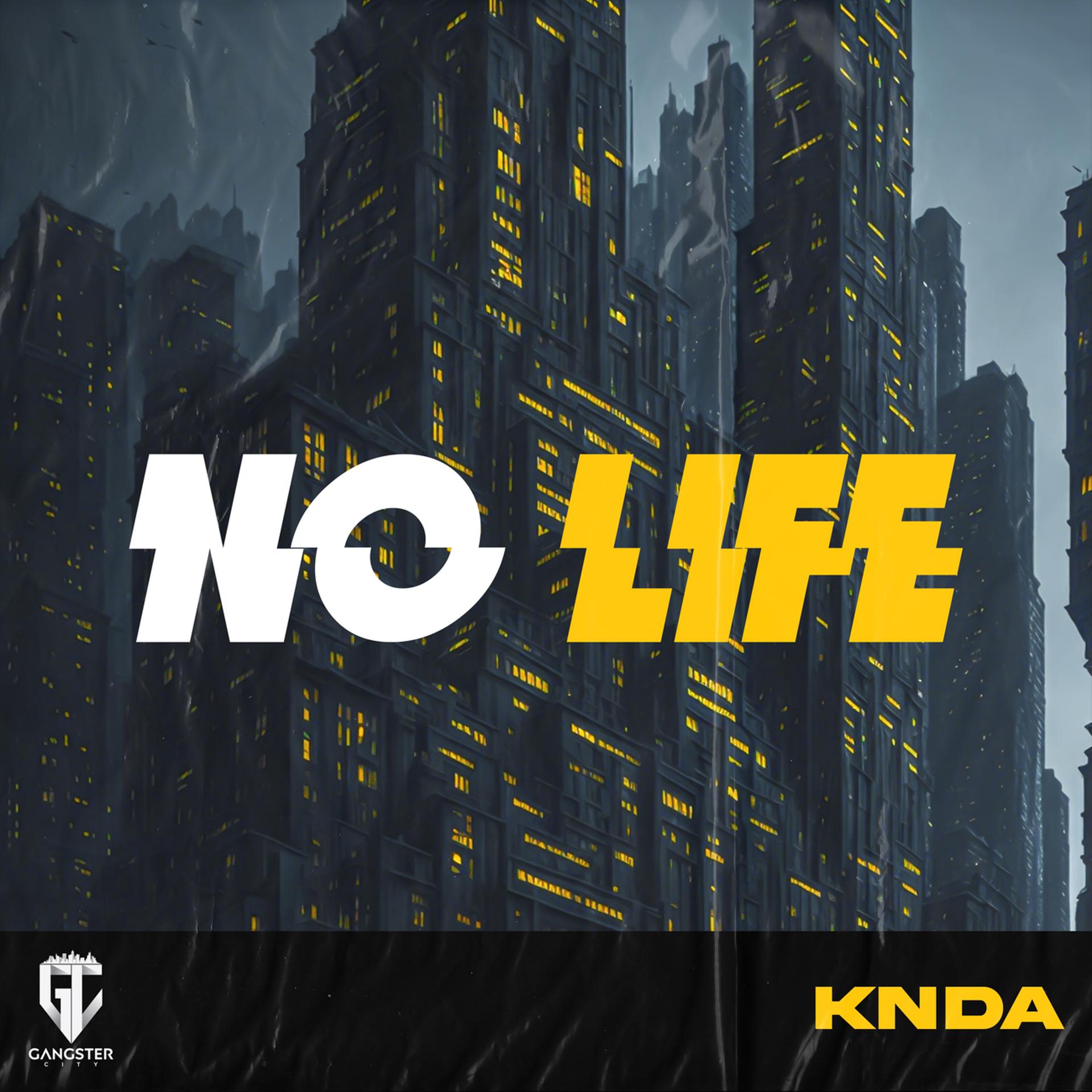 Постер альбома No Life