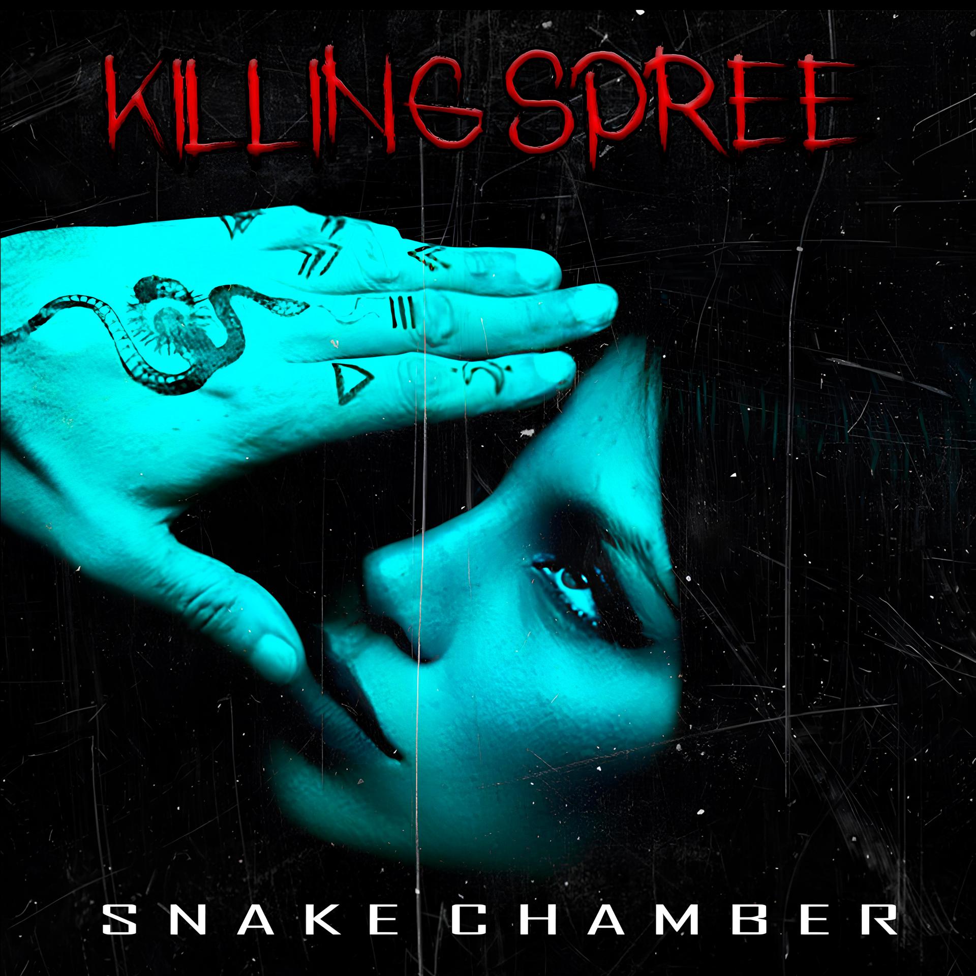 Постер альбома Snake Chamber