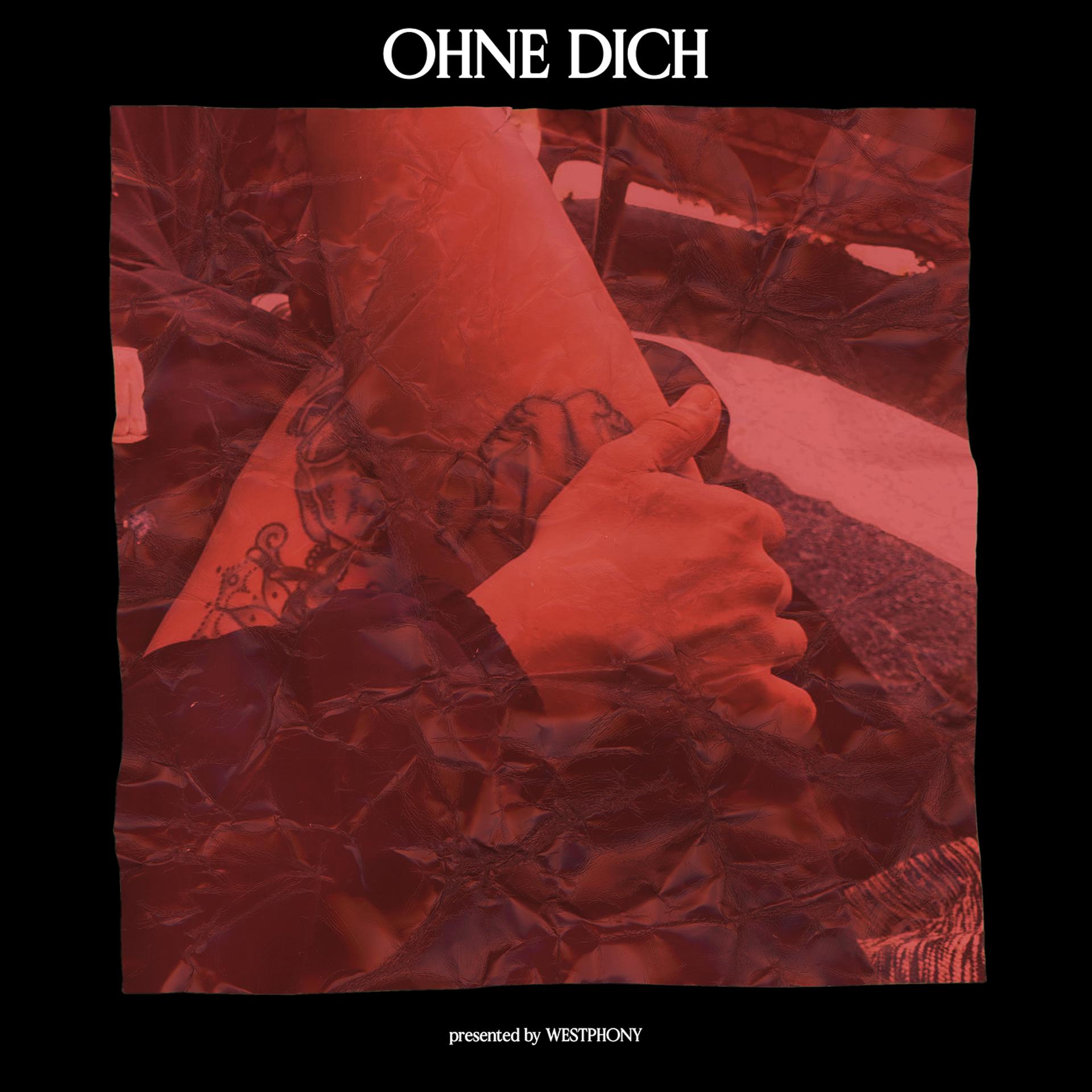 Постер альбома Ohne Dich