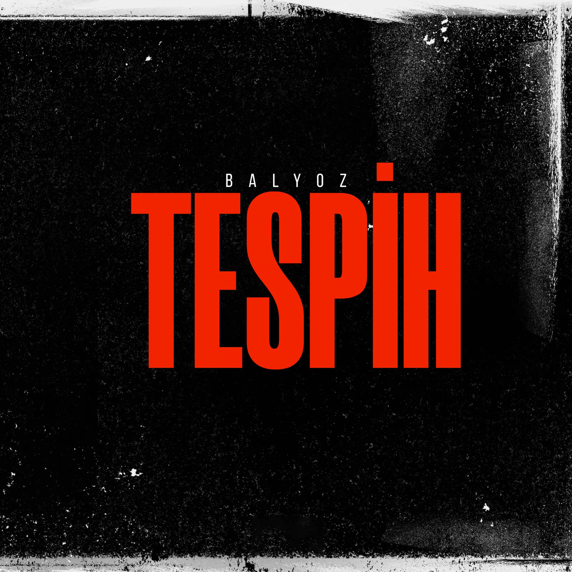 Постер альбома Tespih