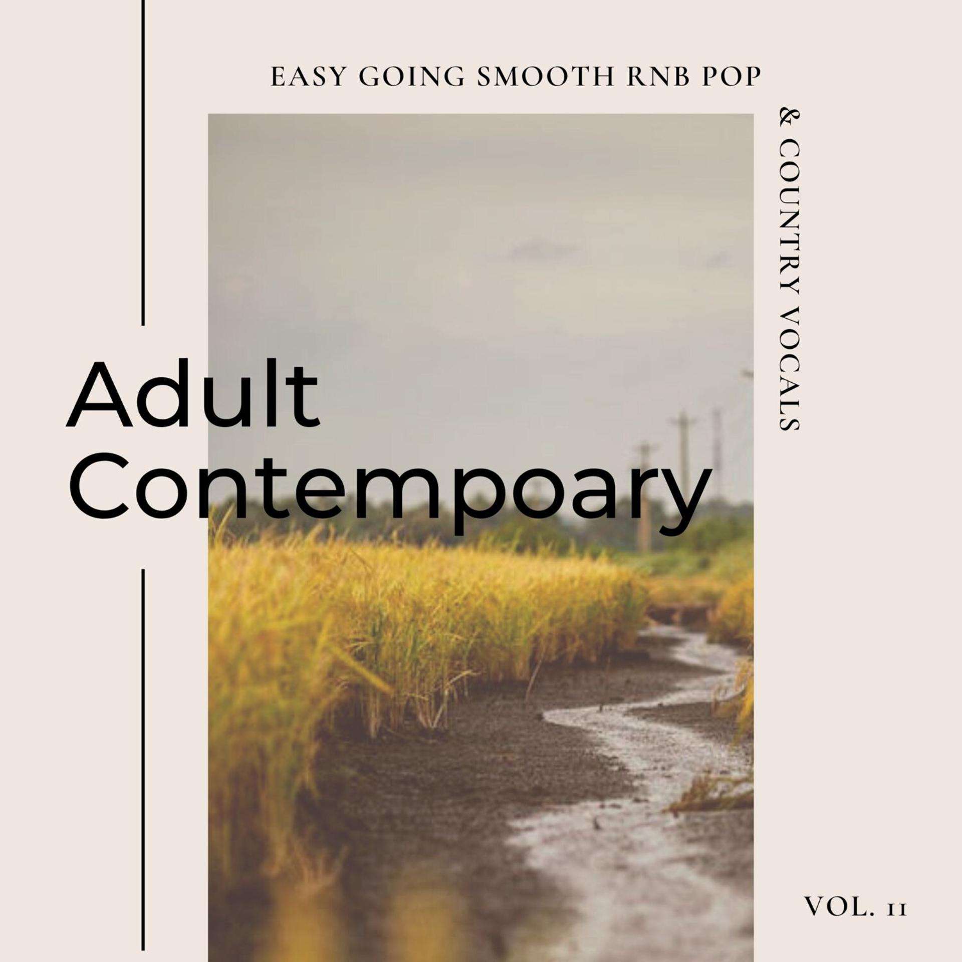 Постер альбома Adult Contemporary: Easy Going Smooth Rnb Pop & Country Vocals, Vol. 11