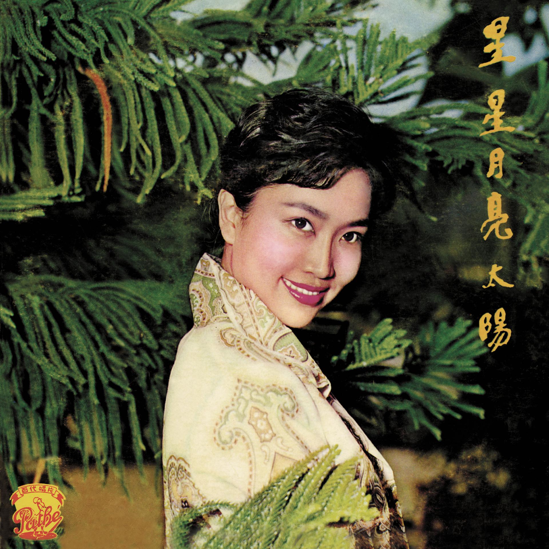 Постер альбома Xing Xing Yue Liang Tai Yang