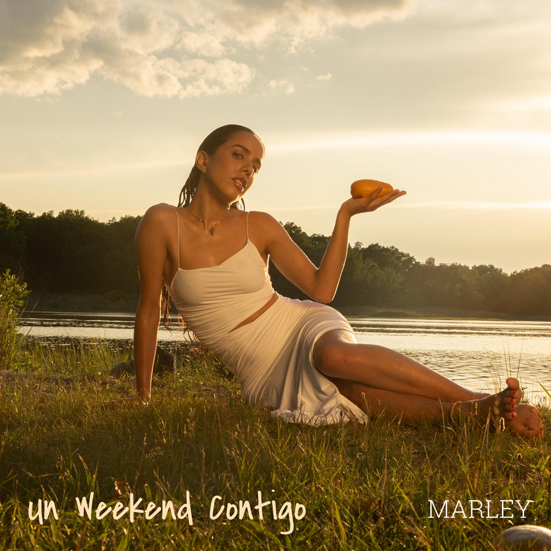 Постер альбома Un Weekend Contigo