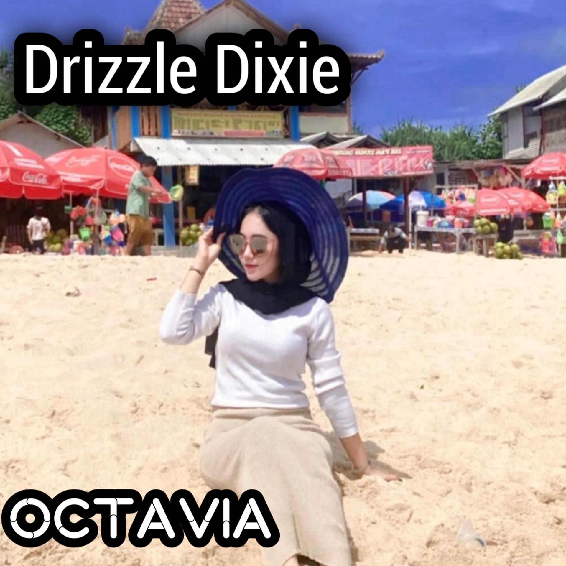 Постер альбома Drizzle Dixie