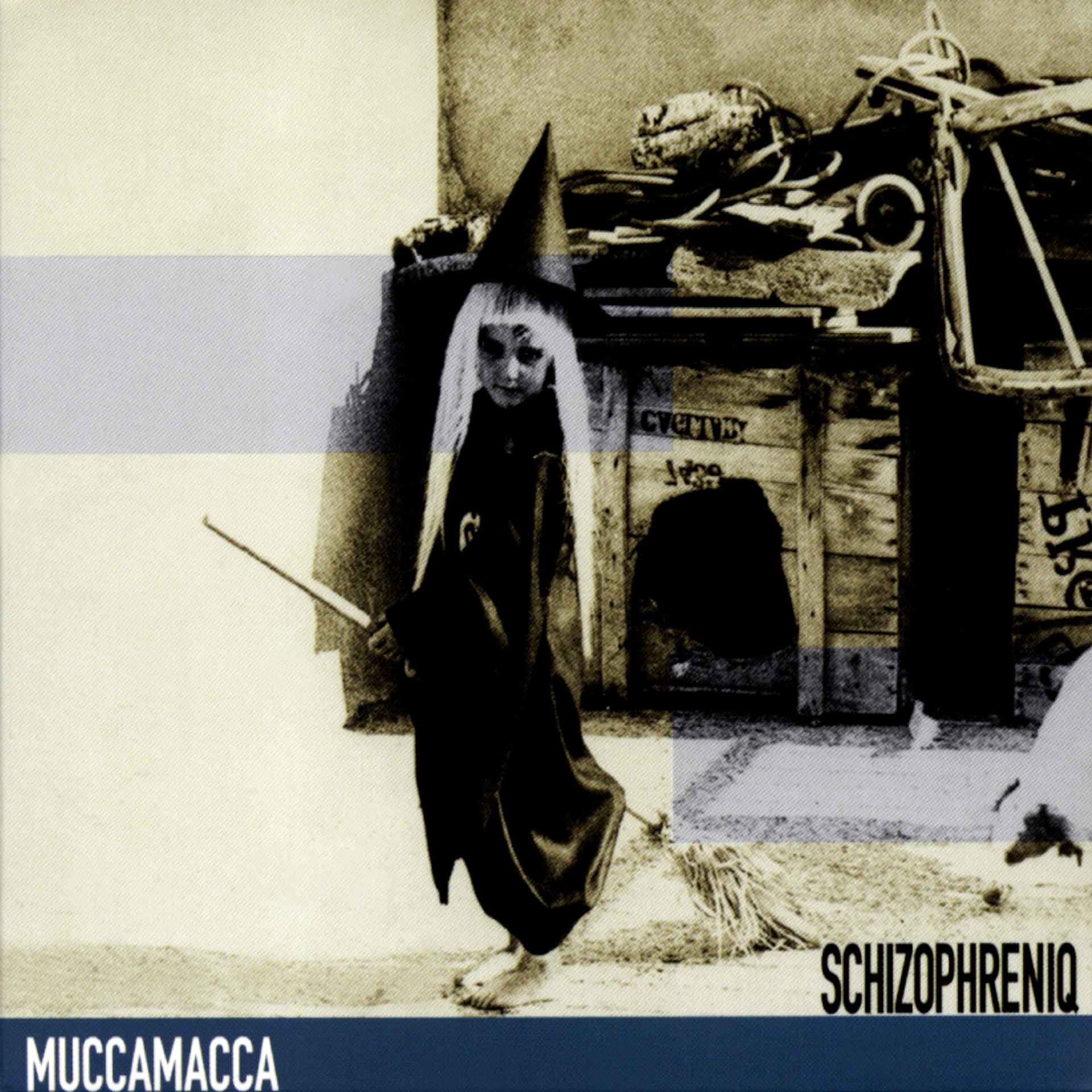 Постер альбома Schizophreniq