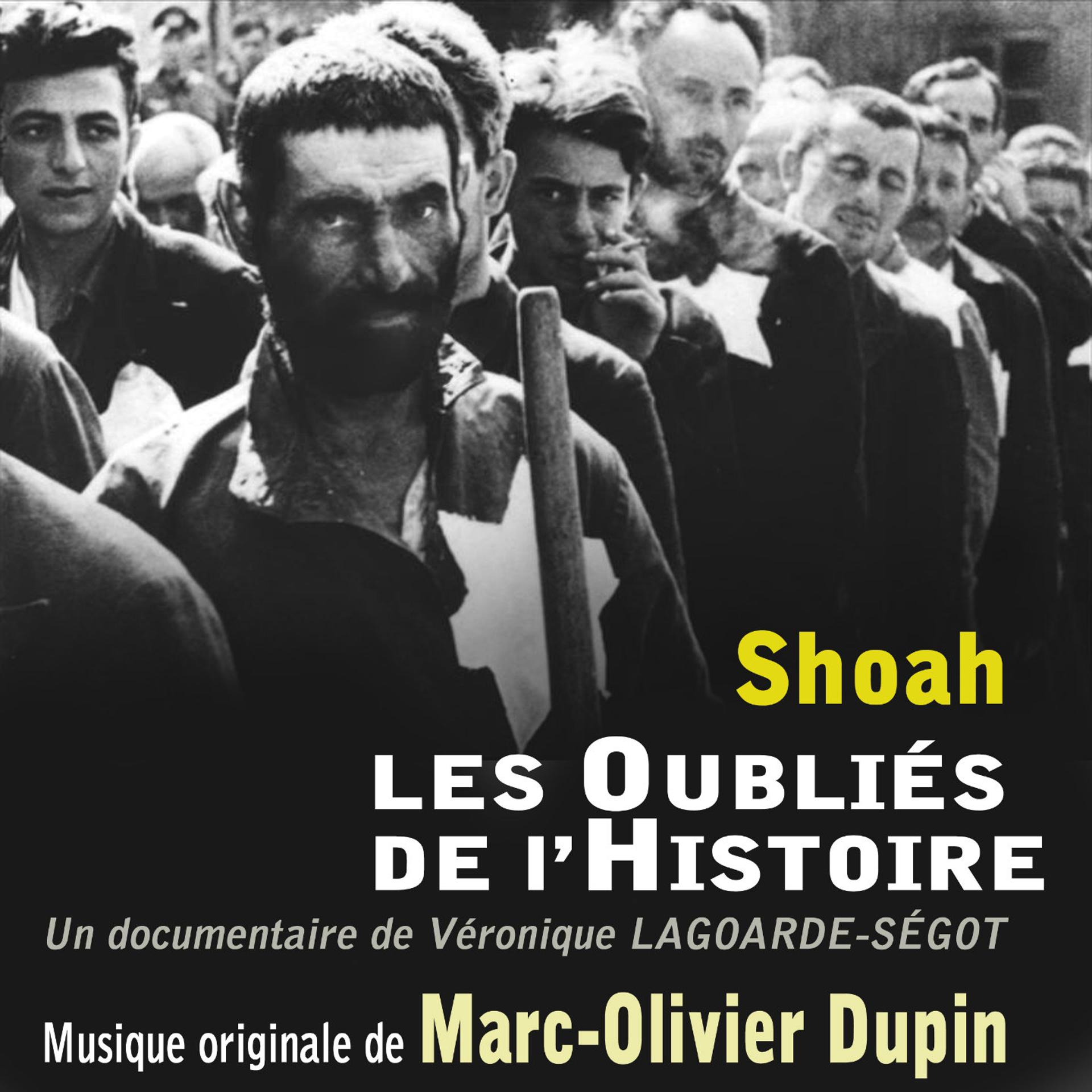 Постер альбома Shoah : les oubliés de l'histoire