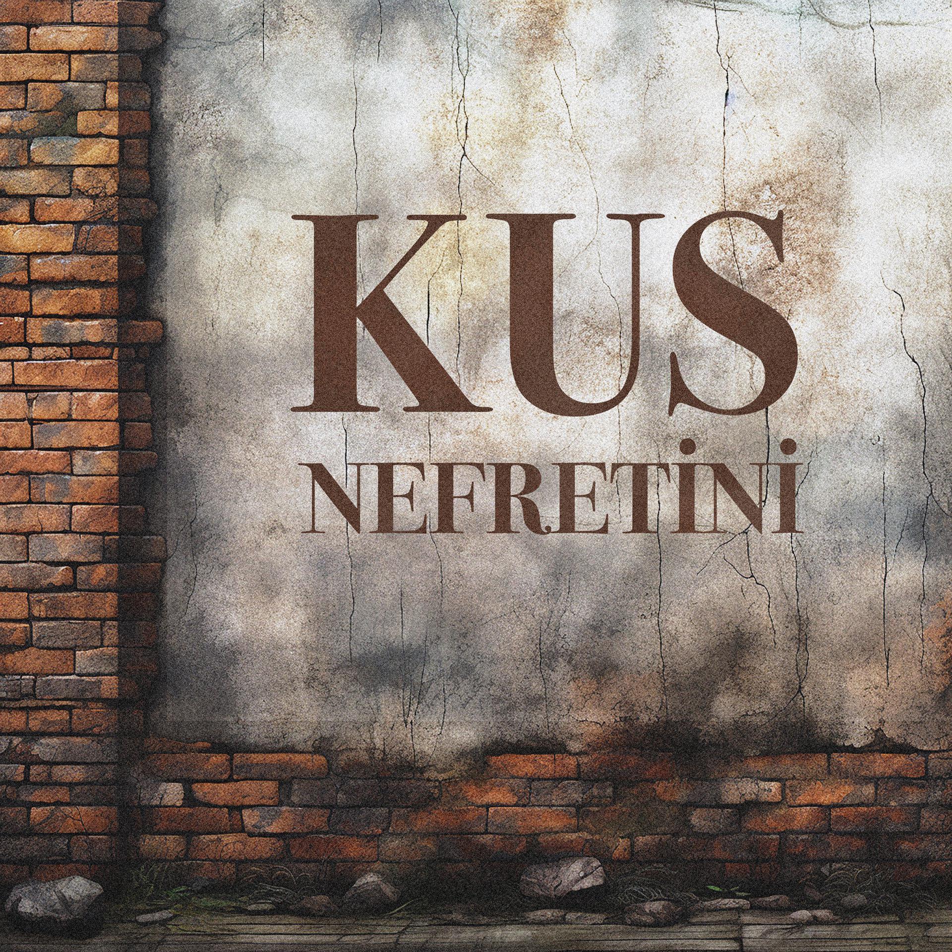 Постер альбома Kus Nefretini