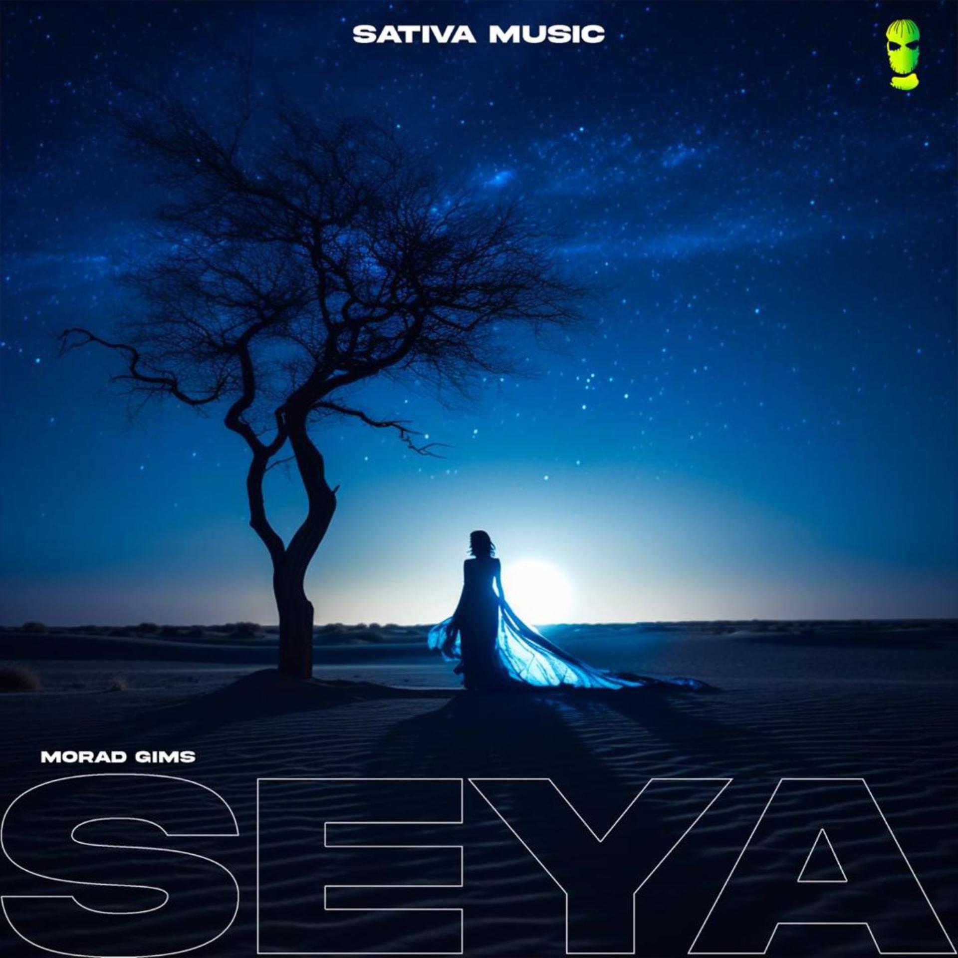 Постер альбома Seya