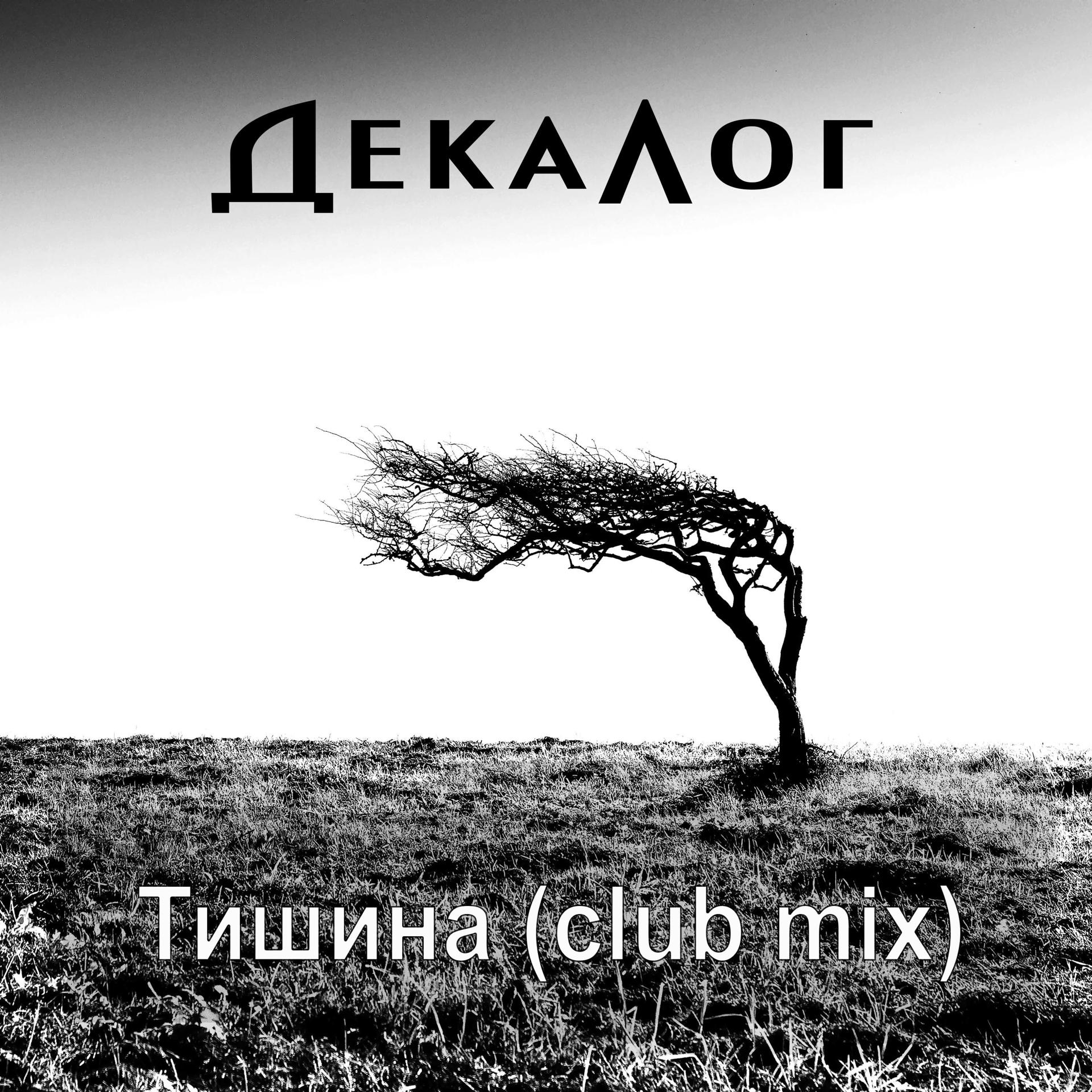 Постер альбома Тишина (Club Mix)