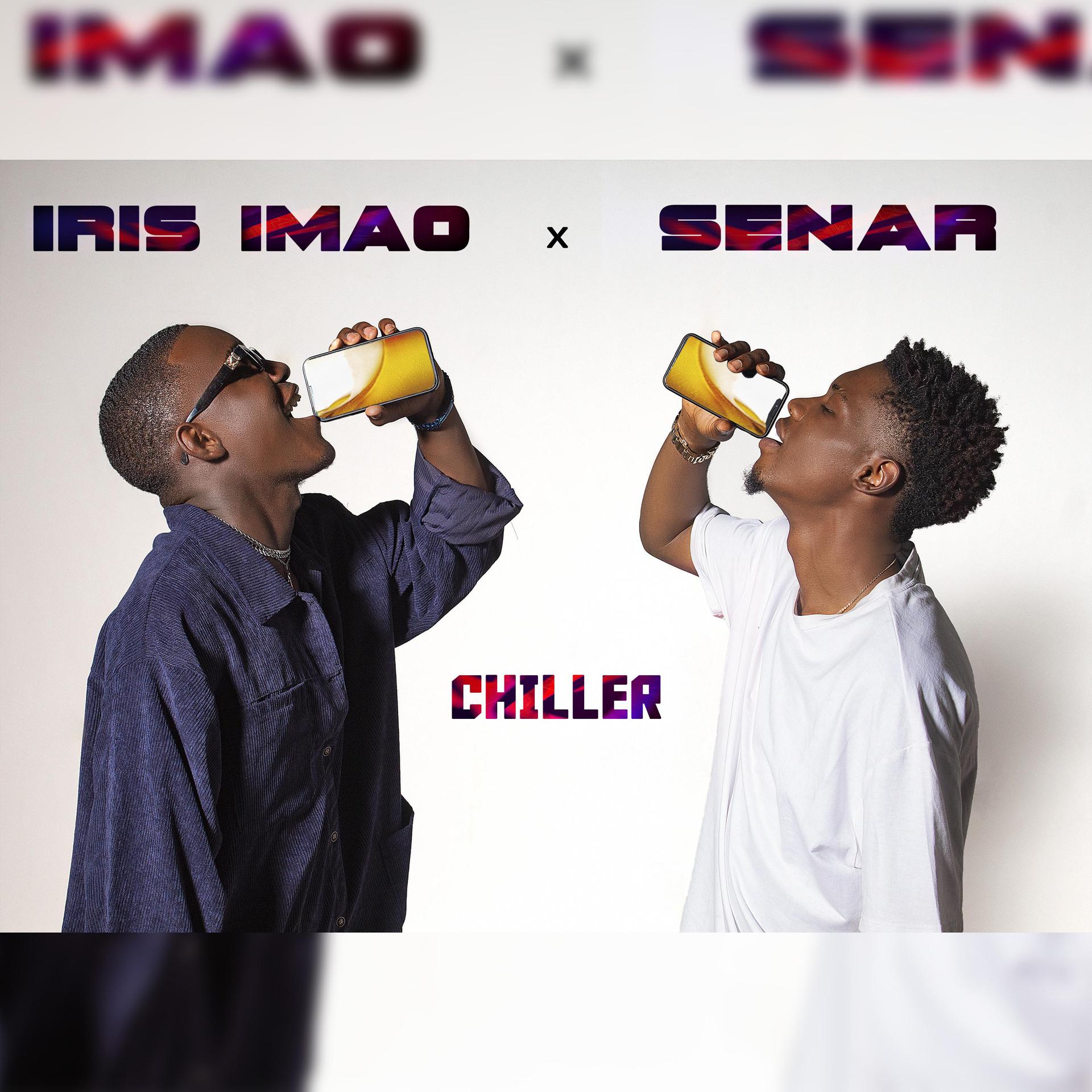 Постер альбома Chiller (feat. Senar)