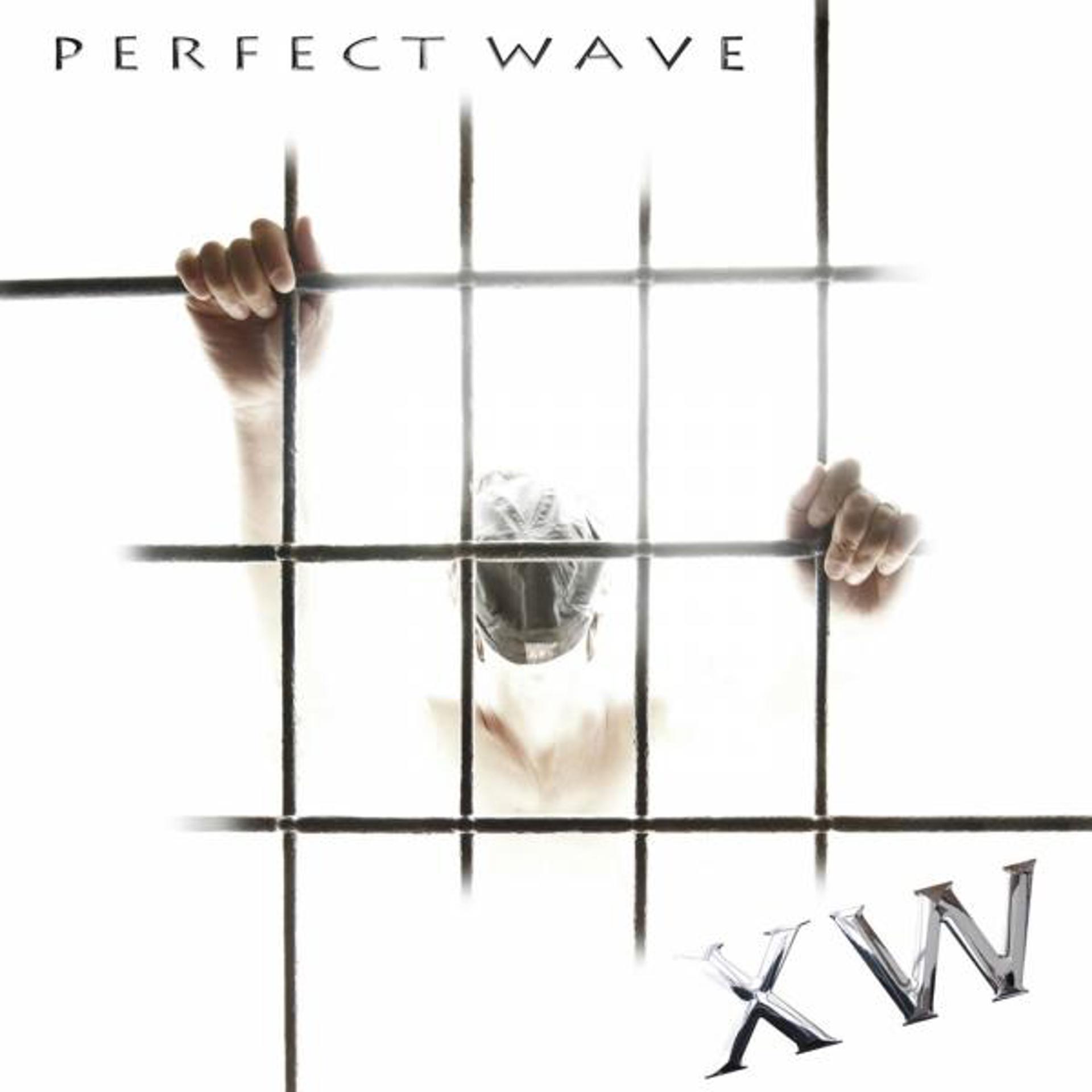 Постер альбома Perfect Wave