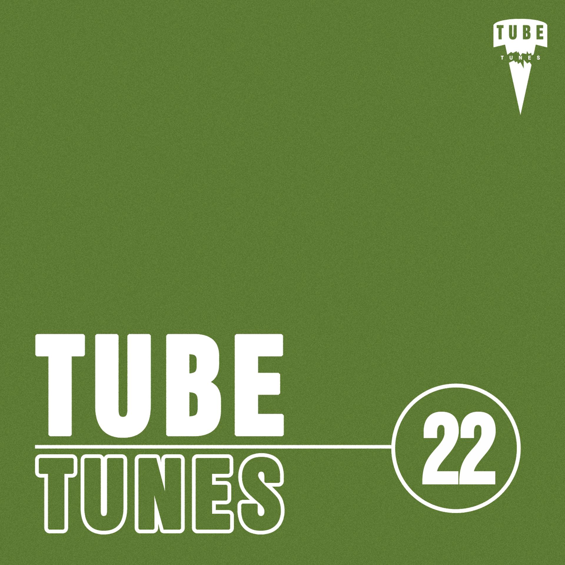 Постер альбома Tube Tunes, Vol.22