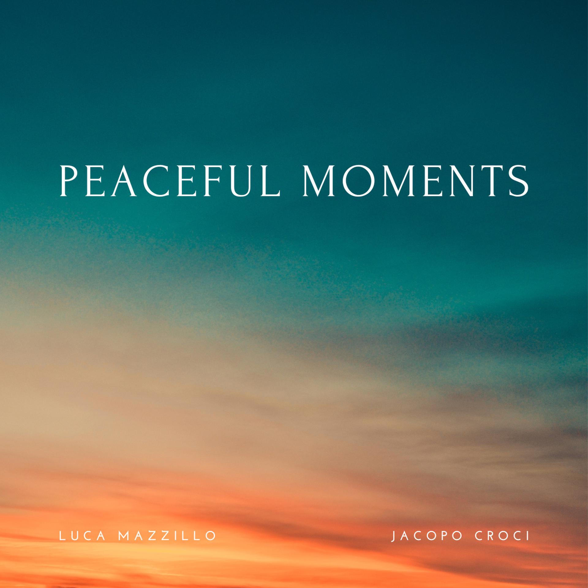 Постер альбома Peaceful Moments