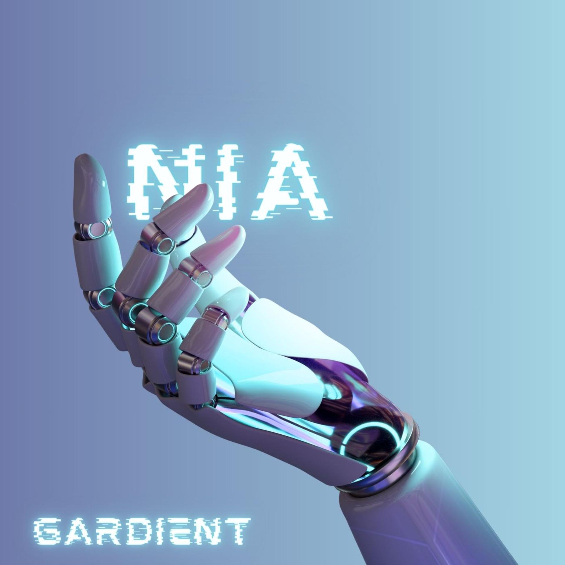 Постер альбома Nia