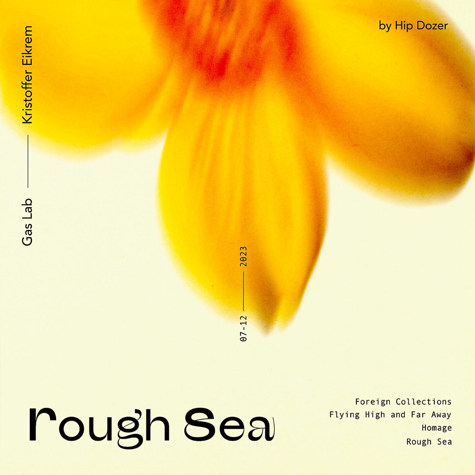 Постер альбома Rough Sea