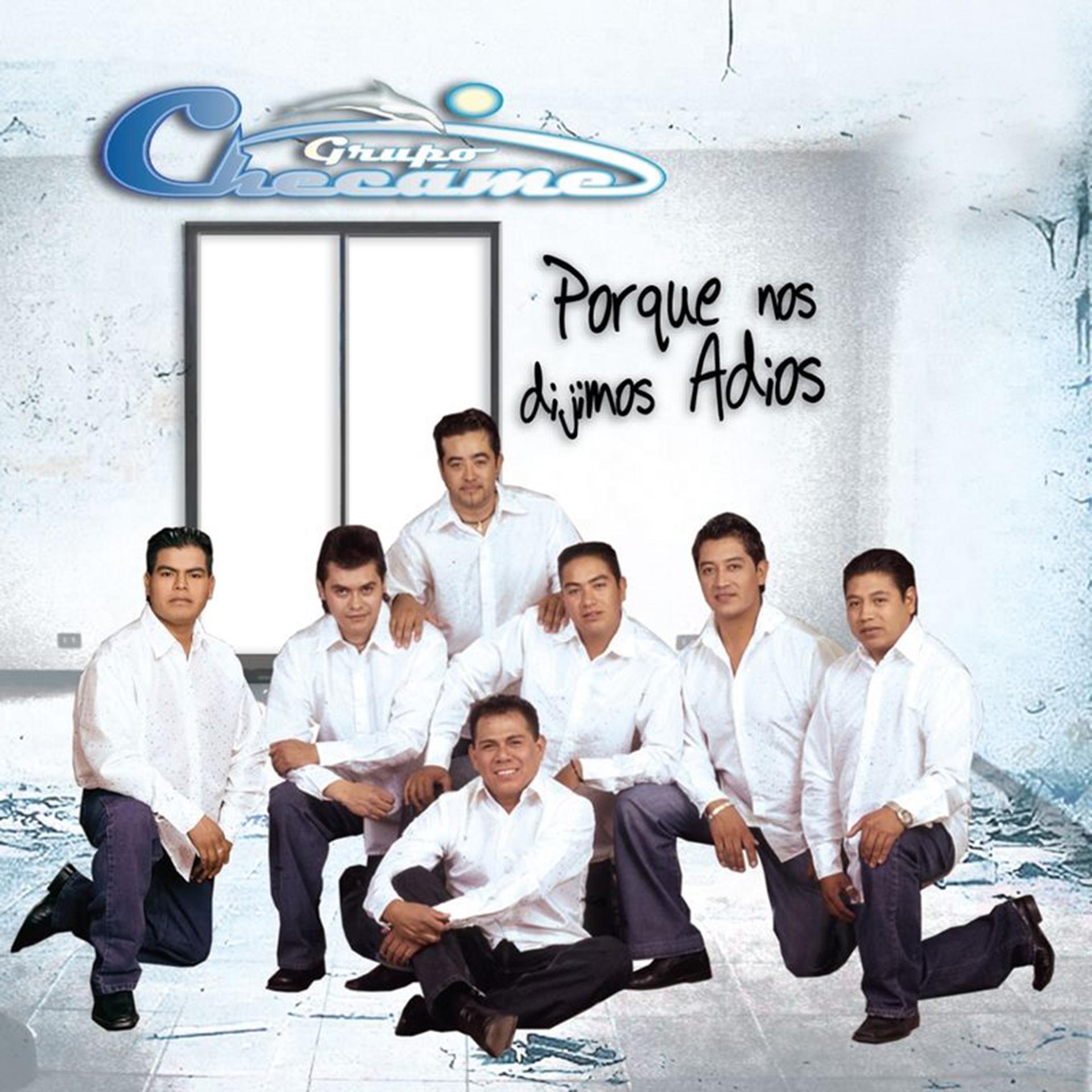 Постер альбома Porqué Nos Dijimos Adios