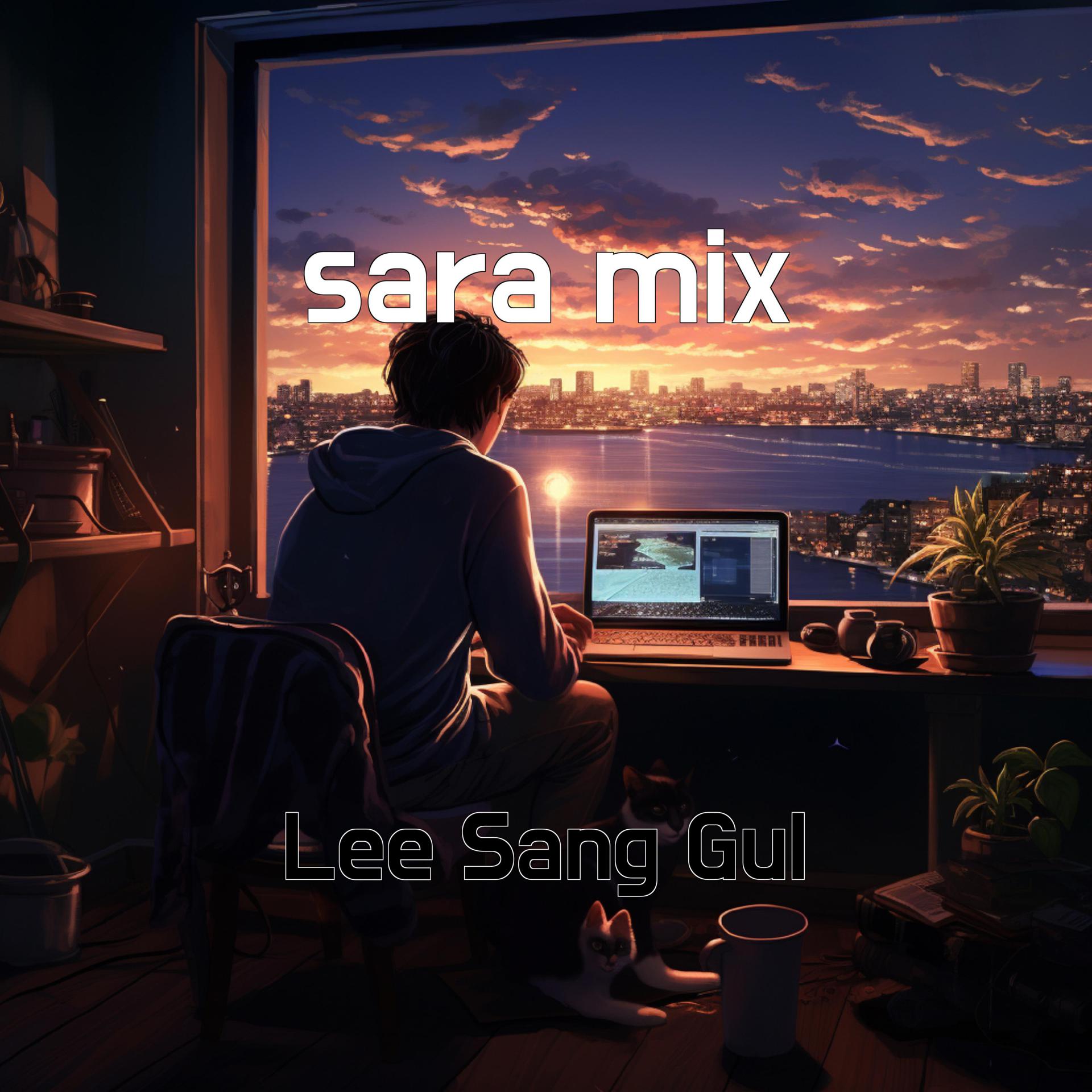 Постер альбома sara mix