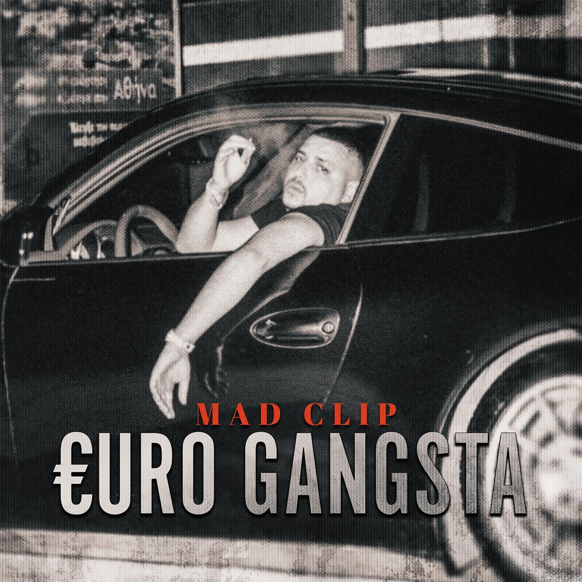 Постер альбома Euro Gangsta