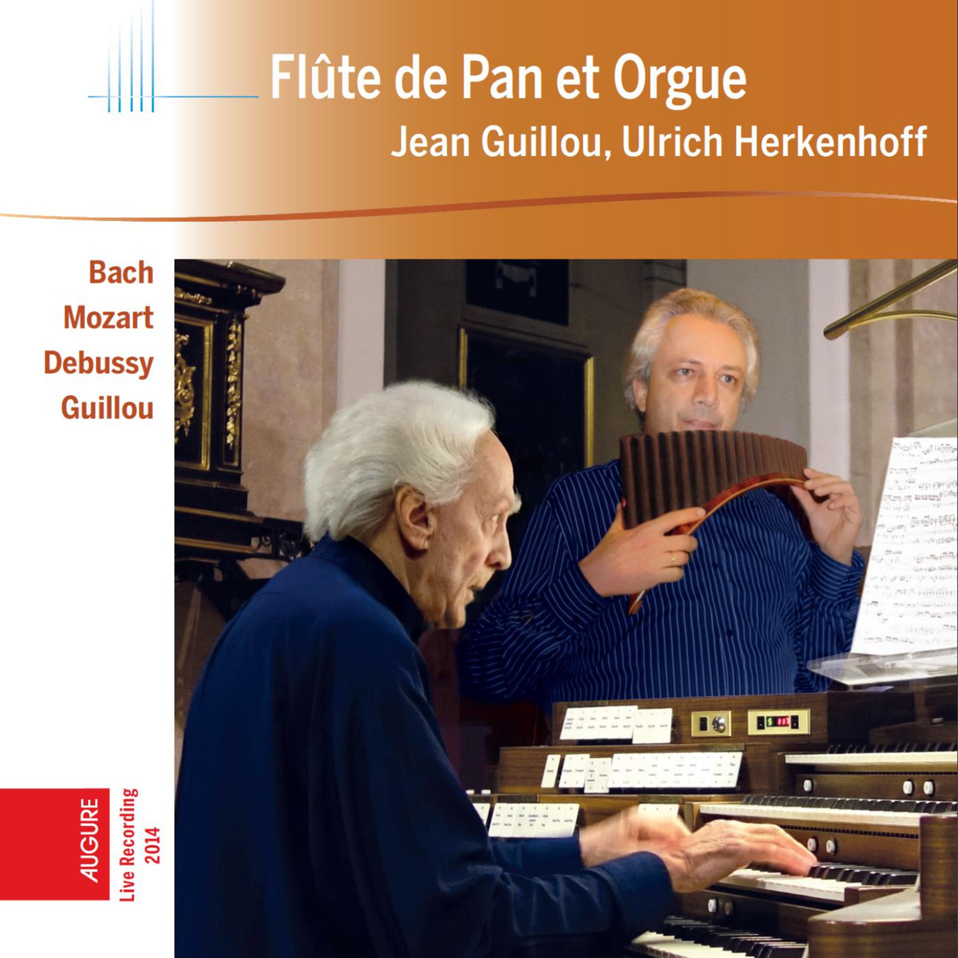 Постер альбома Flûte de Pan et Orgue