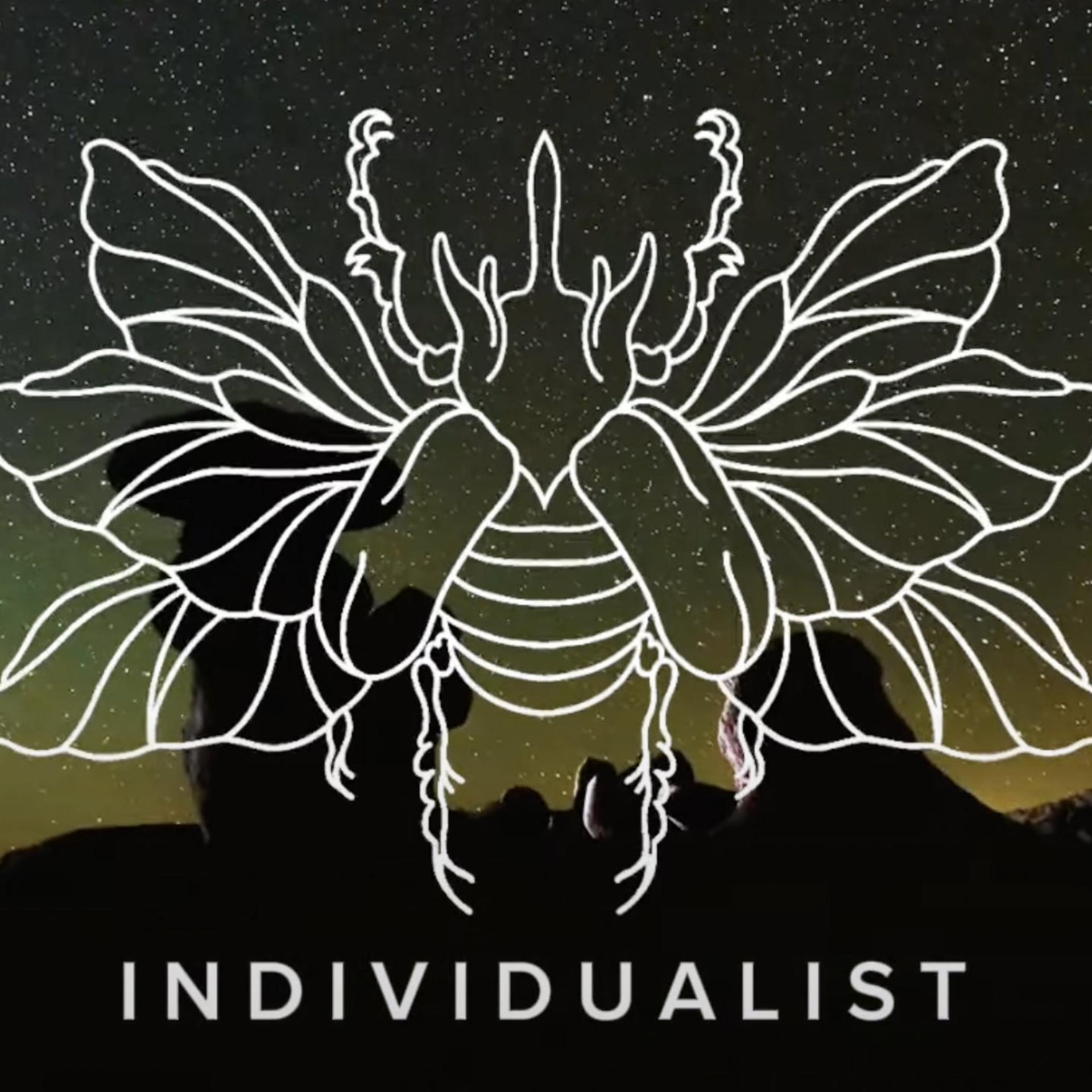Постер альбома Individualist