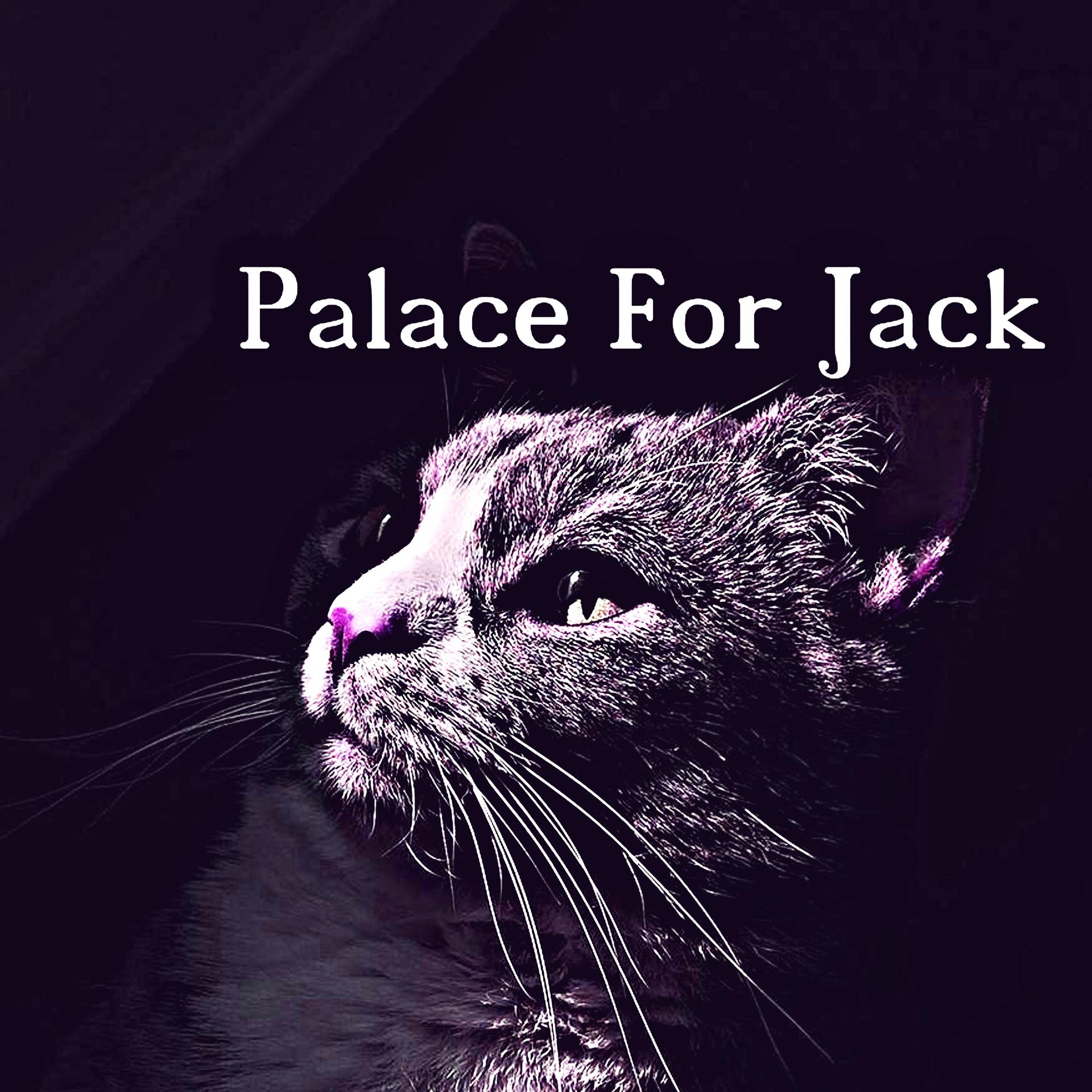Постер альбома Palace For Jack