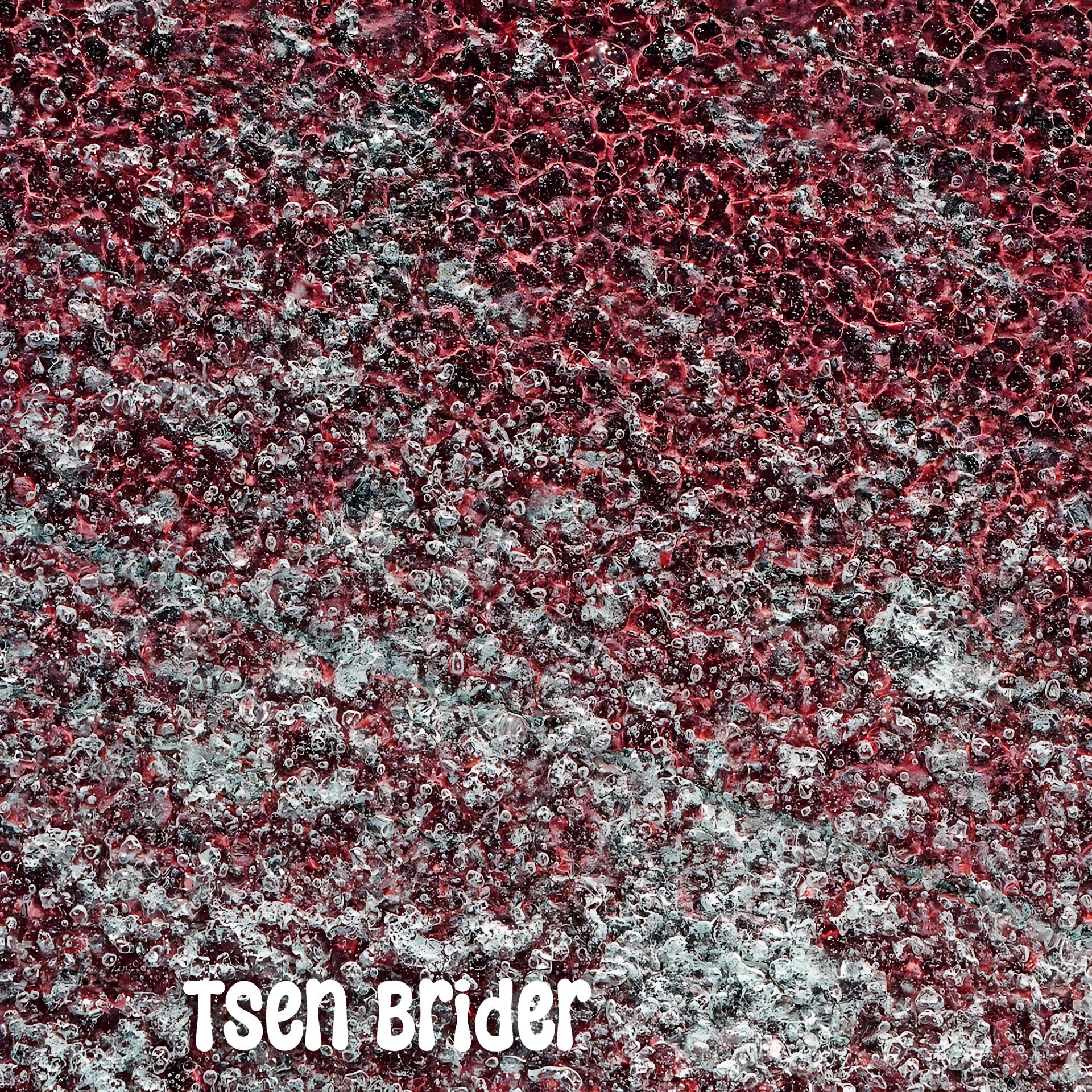 Постер альбома Tsen Brider