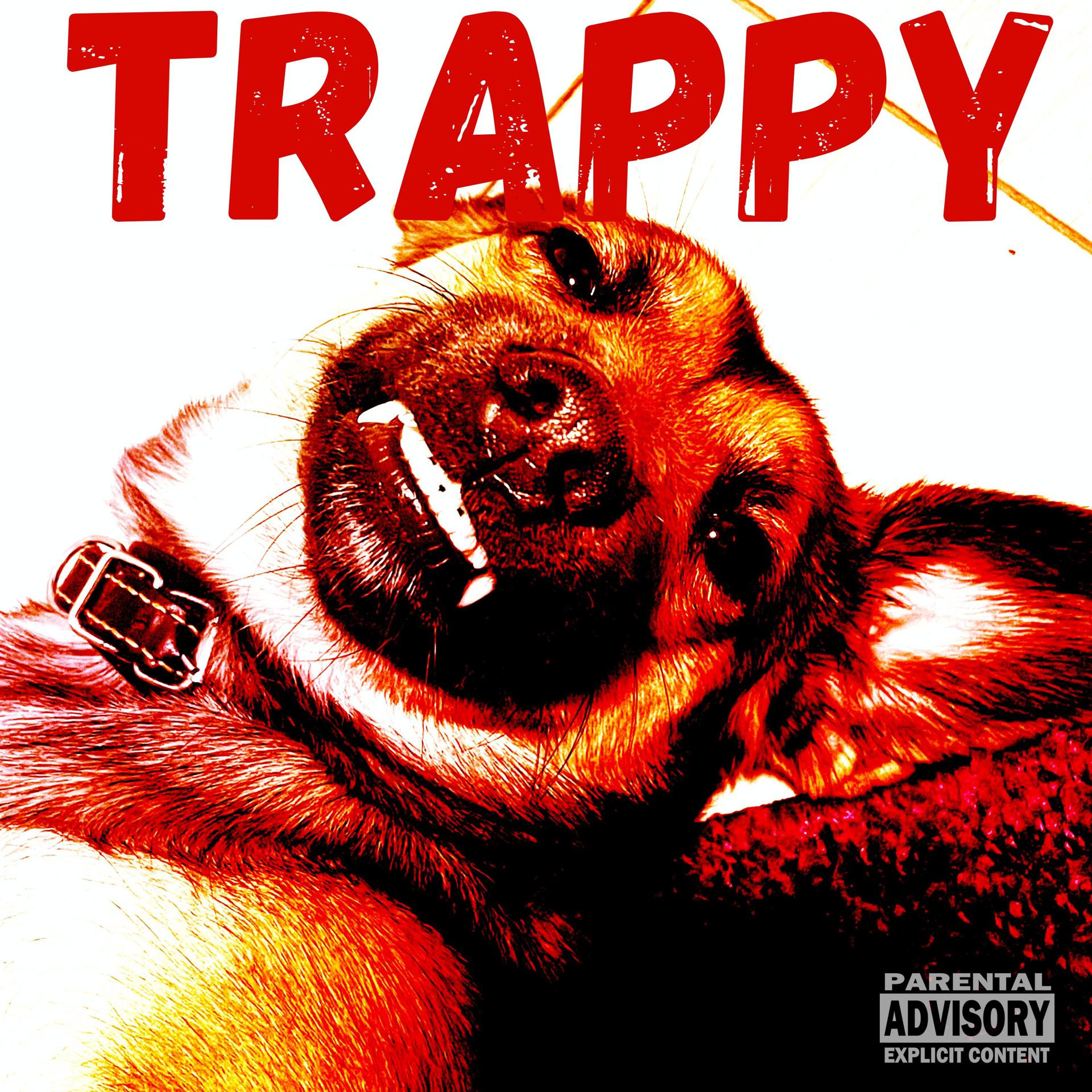 Постер альбома Trappy