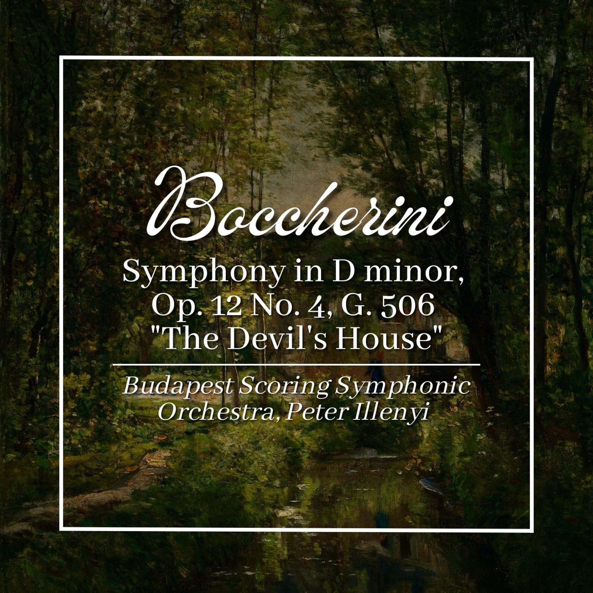 Постер альбома Boccherini: Symphony in D Minor, Op. 12 No. 4, G. 506 "The Devil's House"