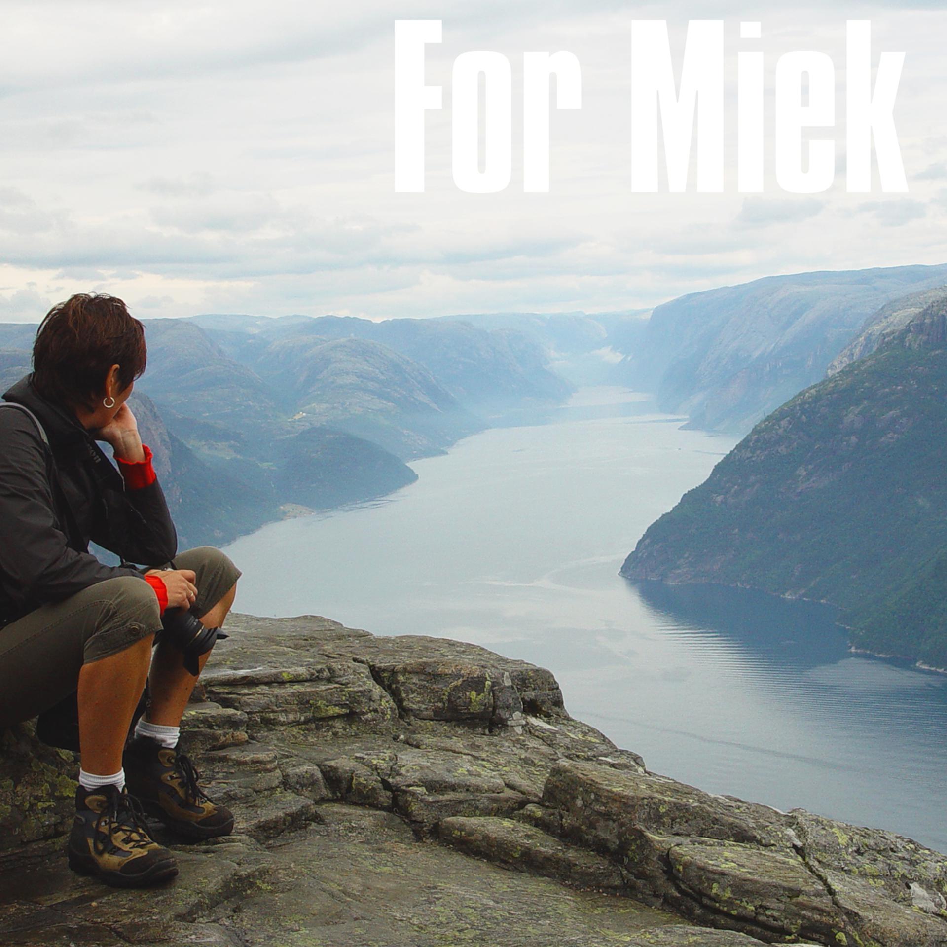 Постер альбома For Miek