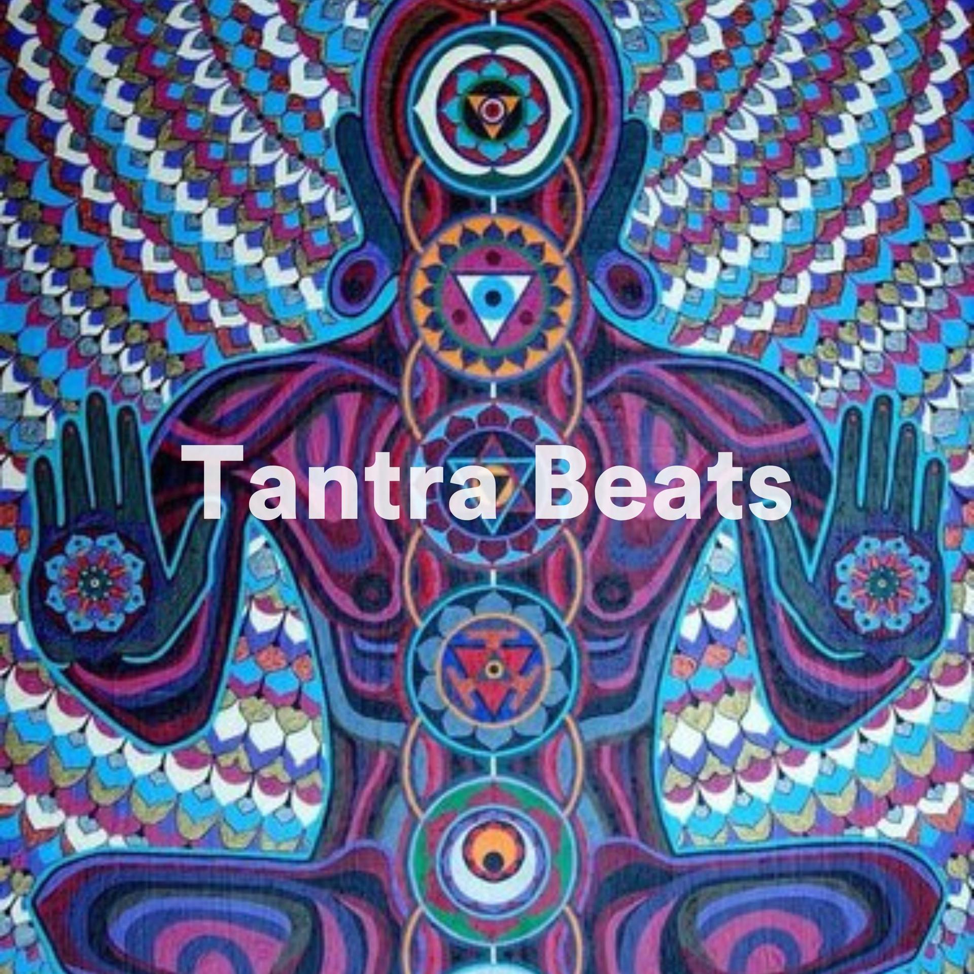 Постер альбома Tantra Beats