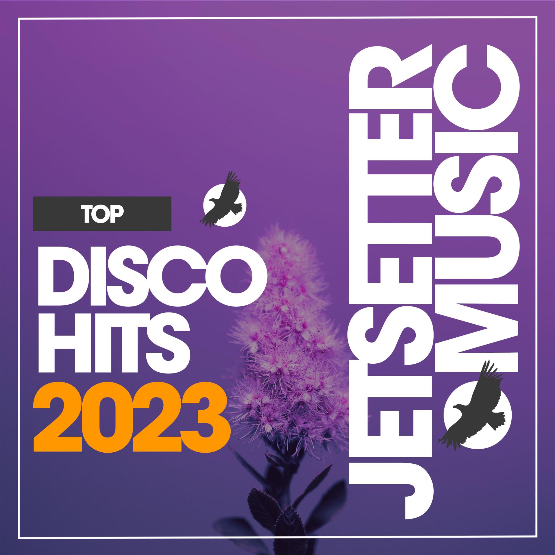 Постер альбома Top Disco Hits 2023