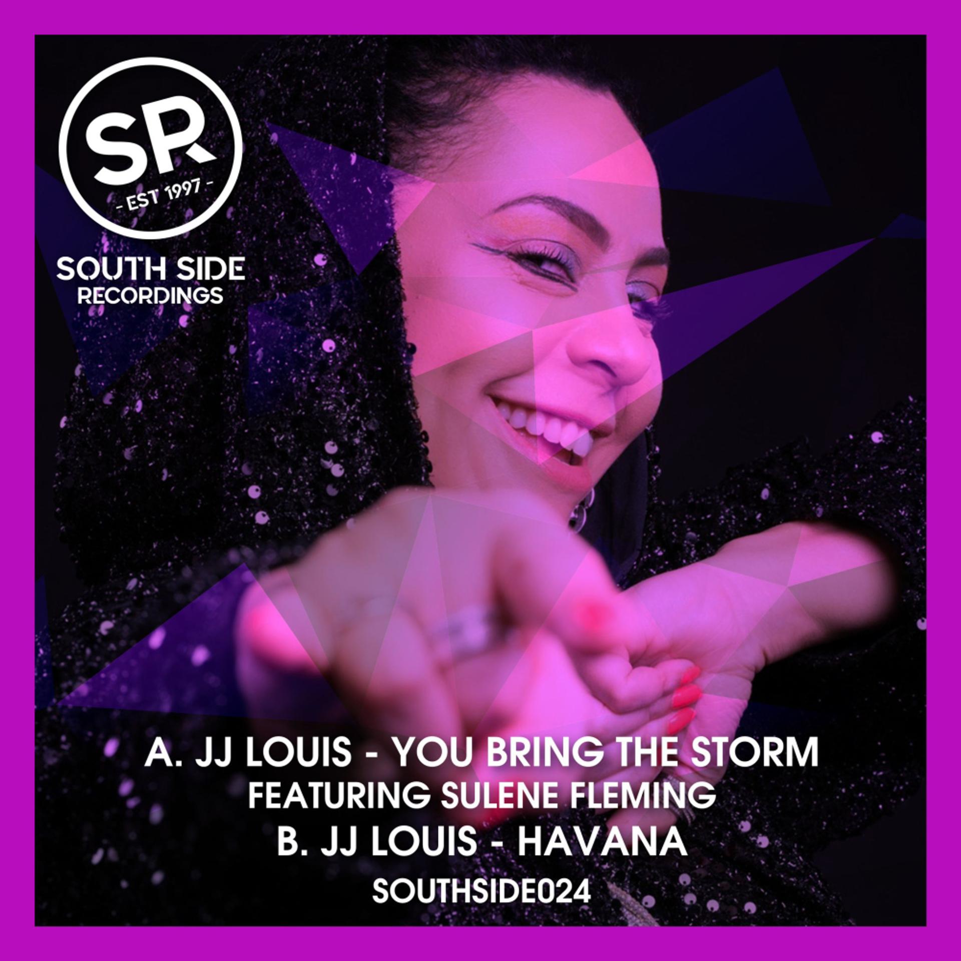 Постер альбома You Bring The Storm / Havana