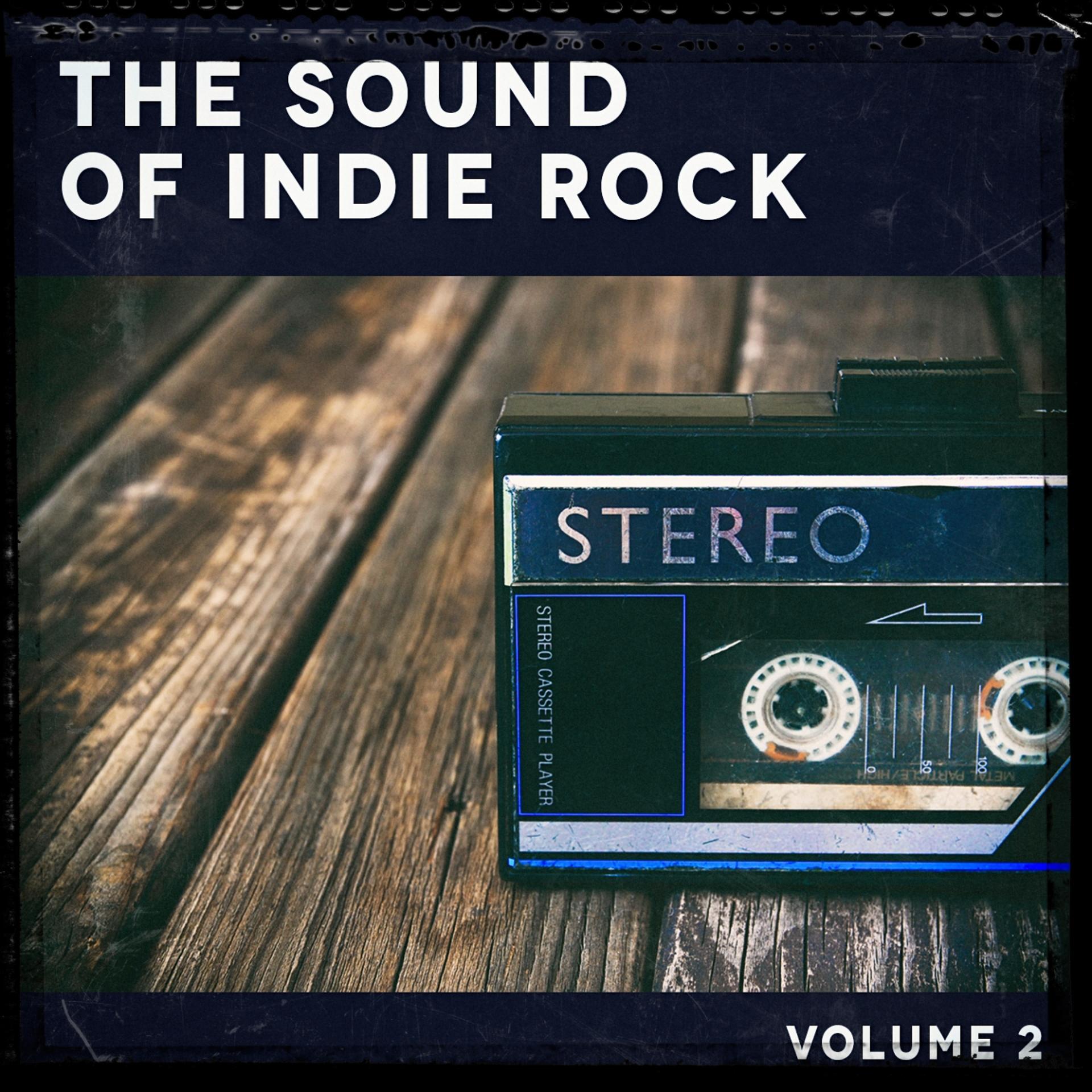 Постер альбома The Sound of Indie Rock, Vol. 2