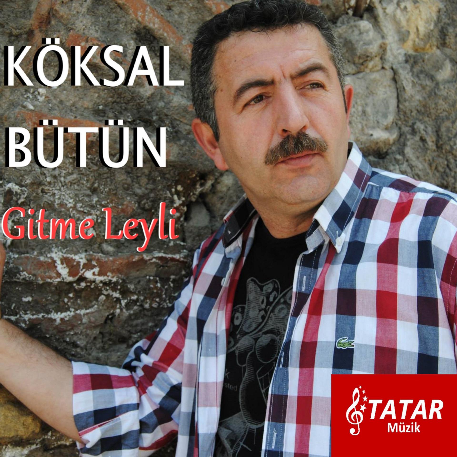 Постер альбома Gitme Leyli