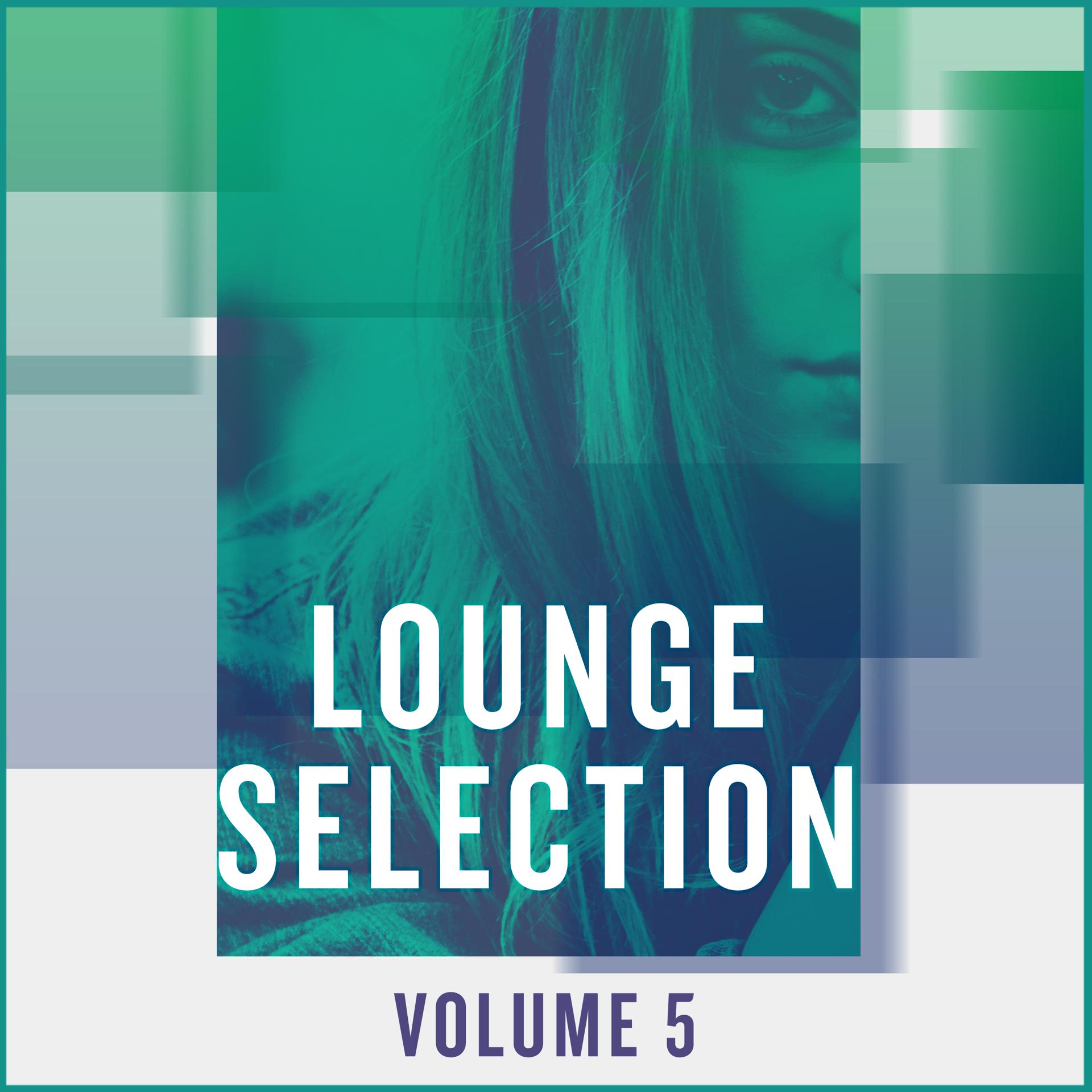 Постер альбома Lounge Selection, Vol. 5
