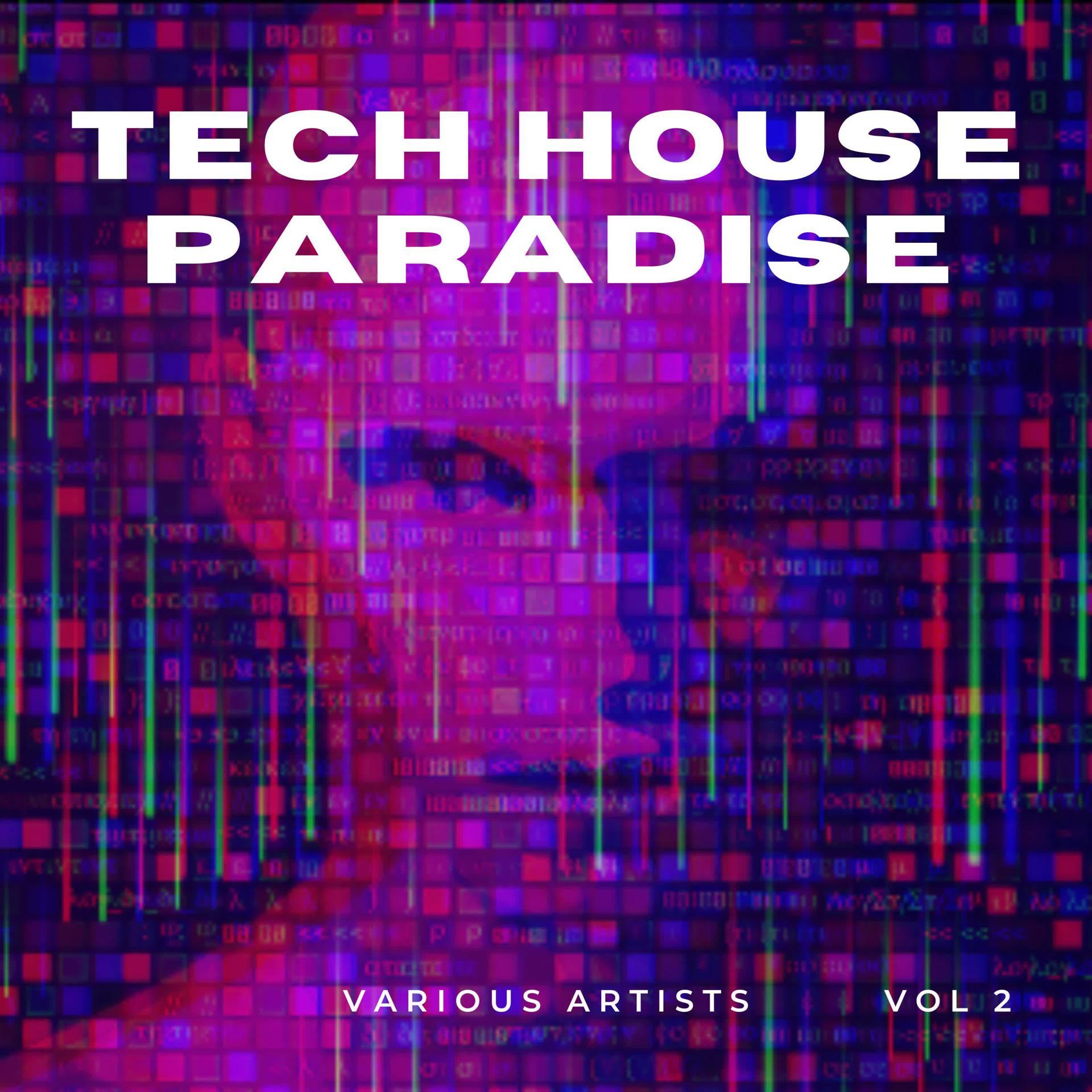 Постер альбома Tech House Paradise, Vol. 2