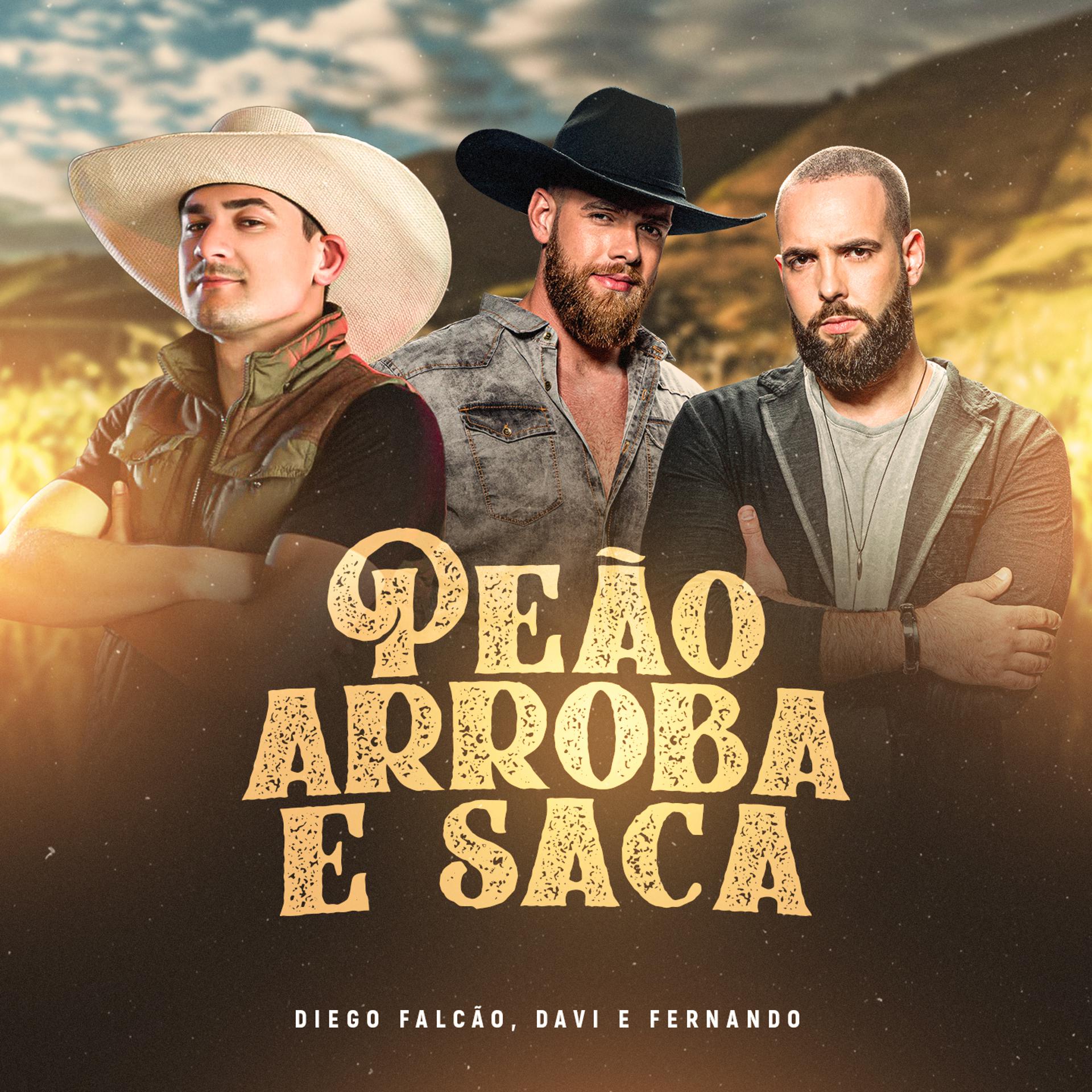 Постер альбома Peão Arroba e Saca