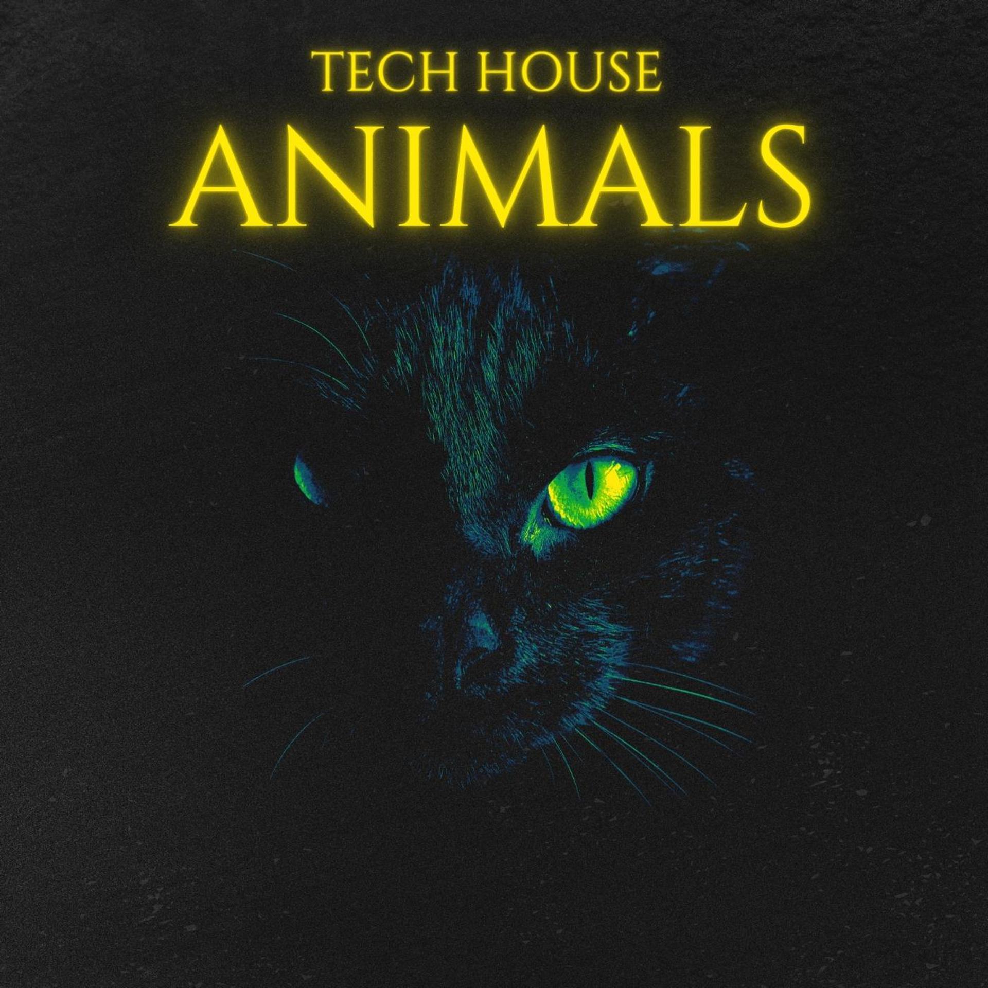 Постер альбома Tech House Animals