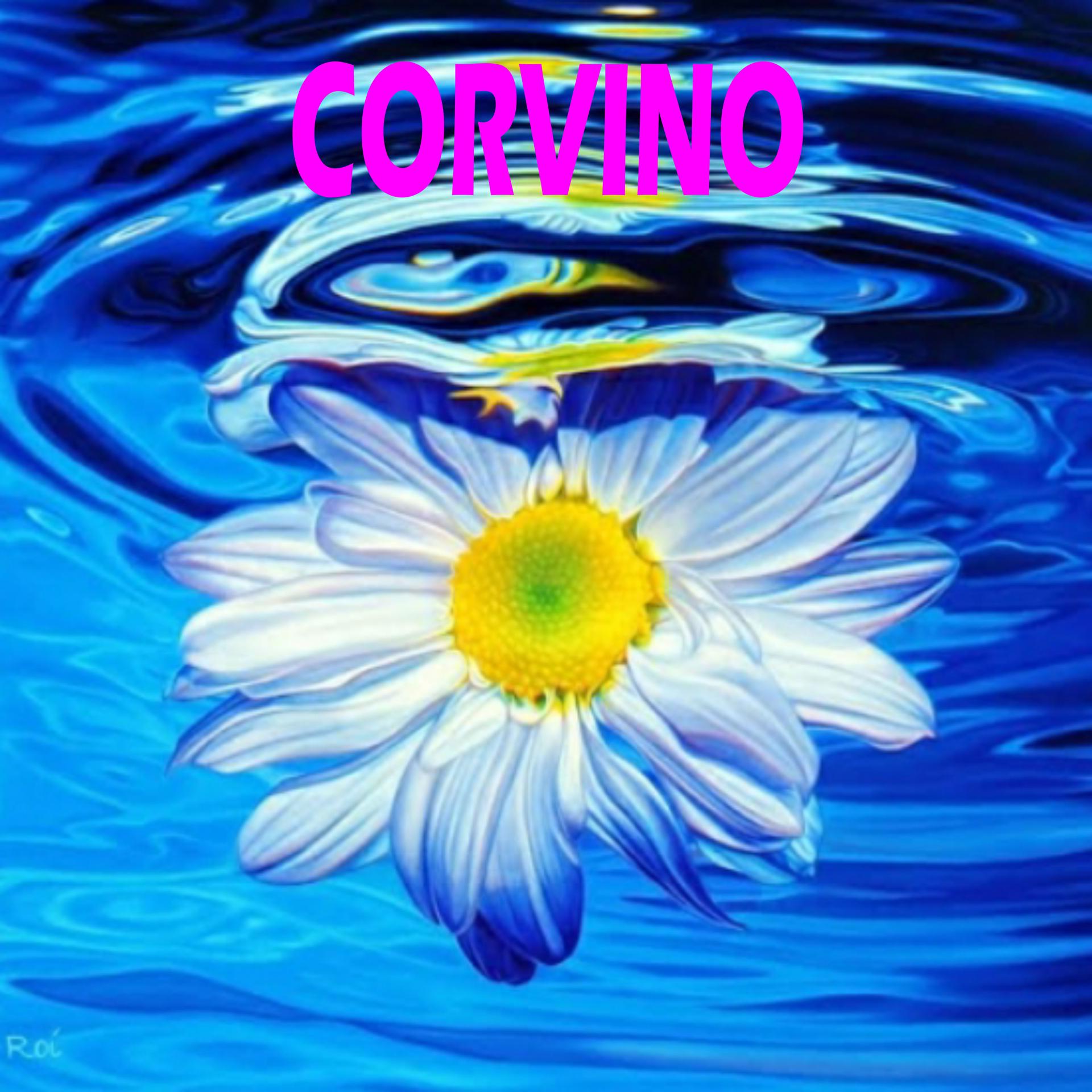 Постер альбома Corvino
