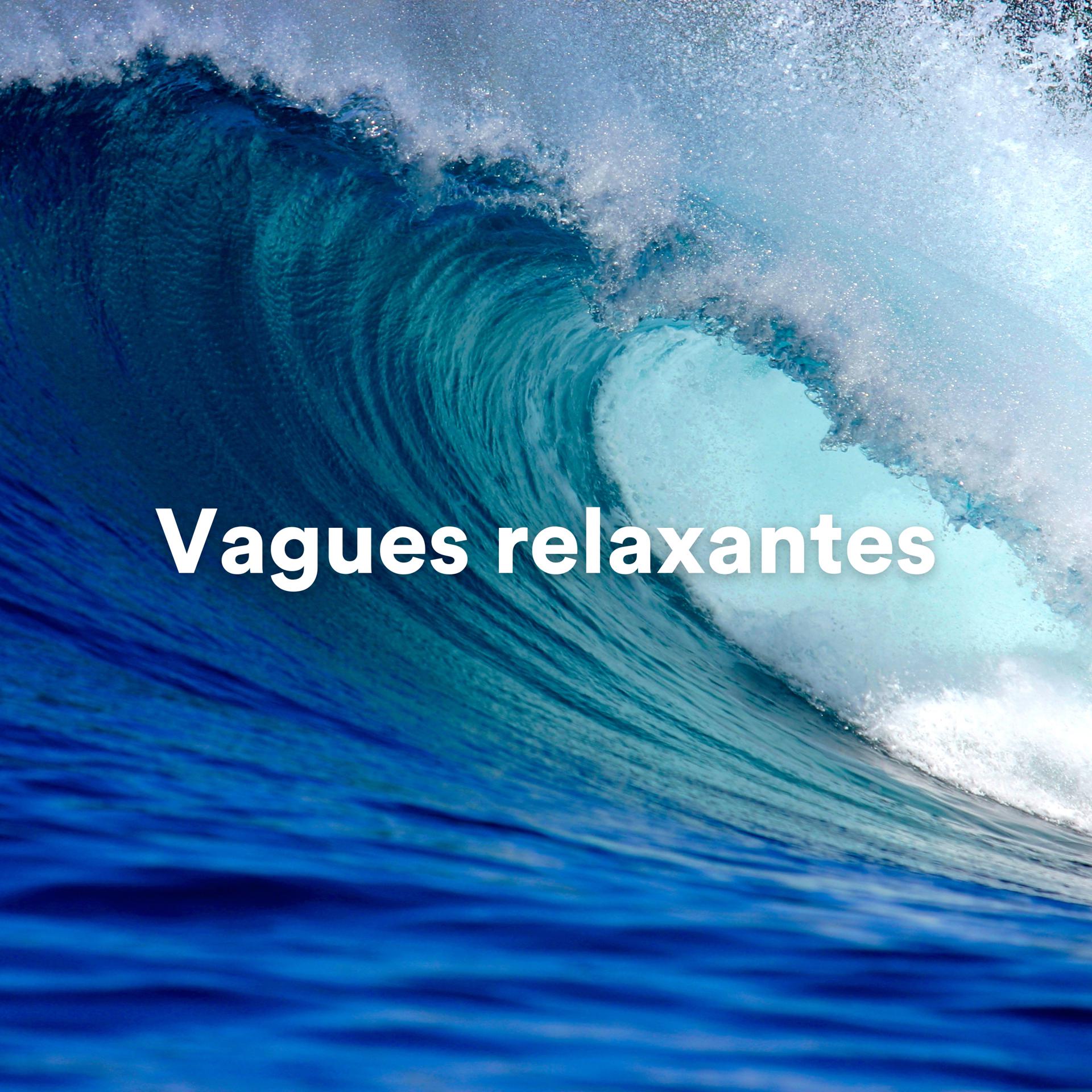 Постер альбома Vagues relaxantes