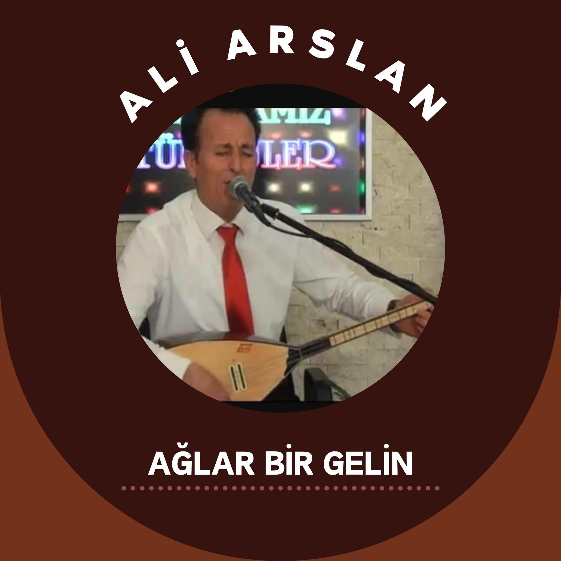 Постер альбома Ağlar Bir Gelin