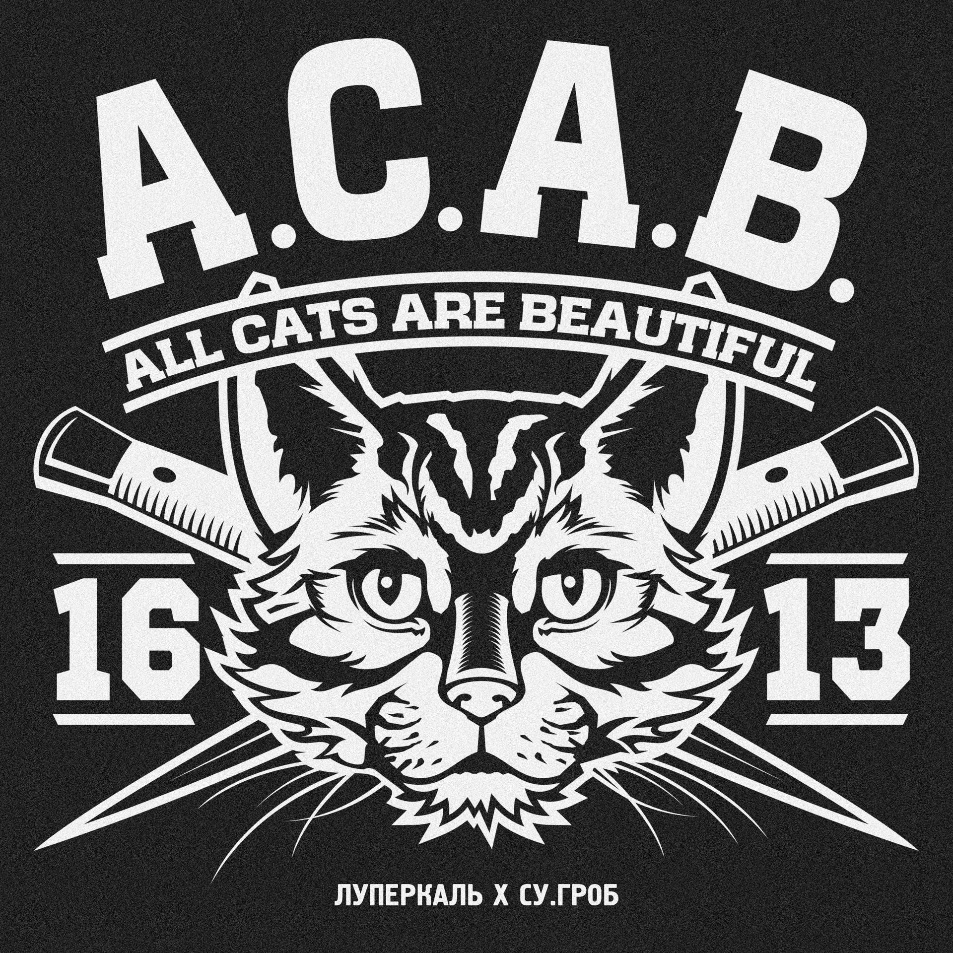 Постер альбома A.C.A.B.