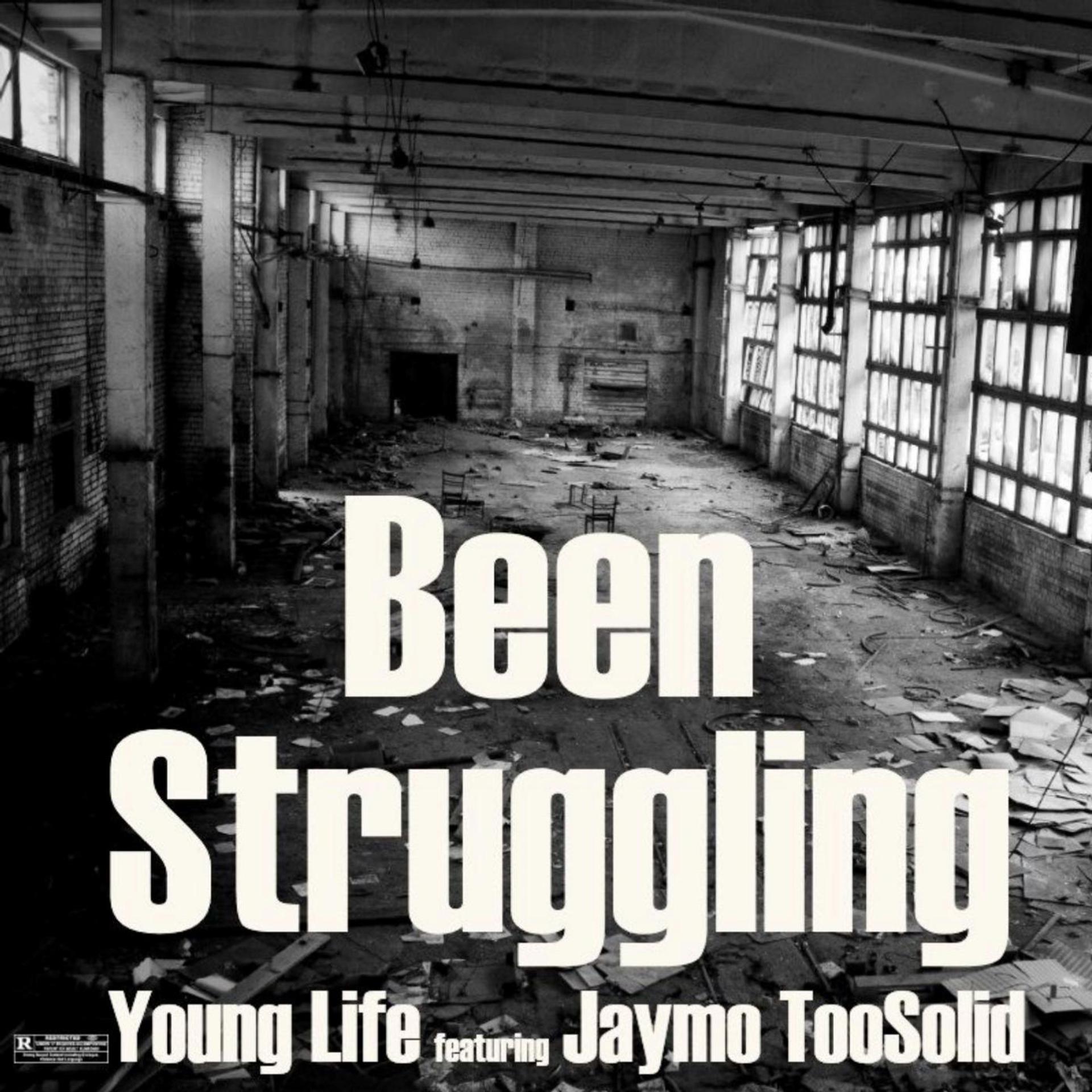 Постер альбома Been Struggling (feat. Jaymo TooSolid)