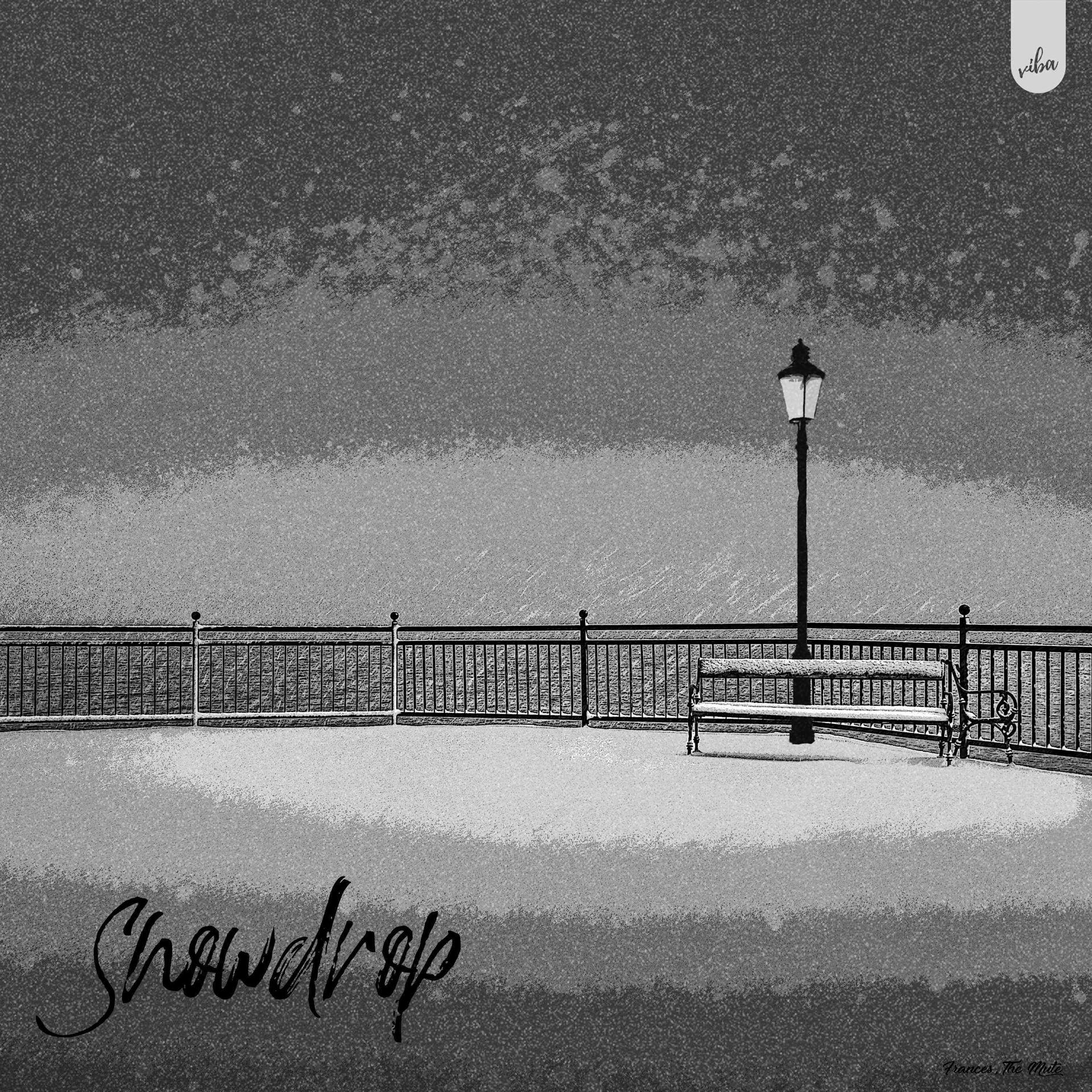 Постер альбома Snowdrop