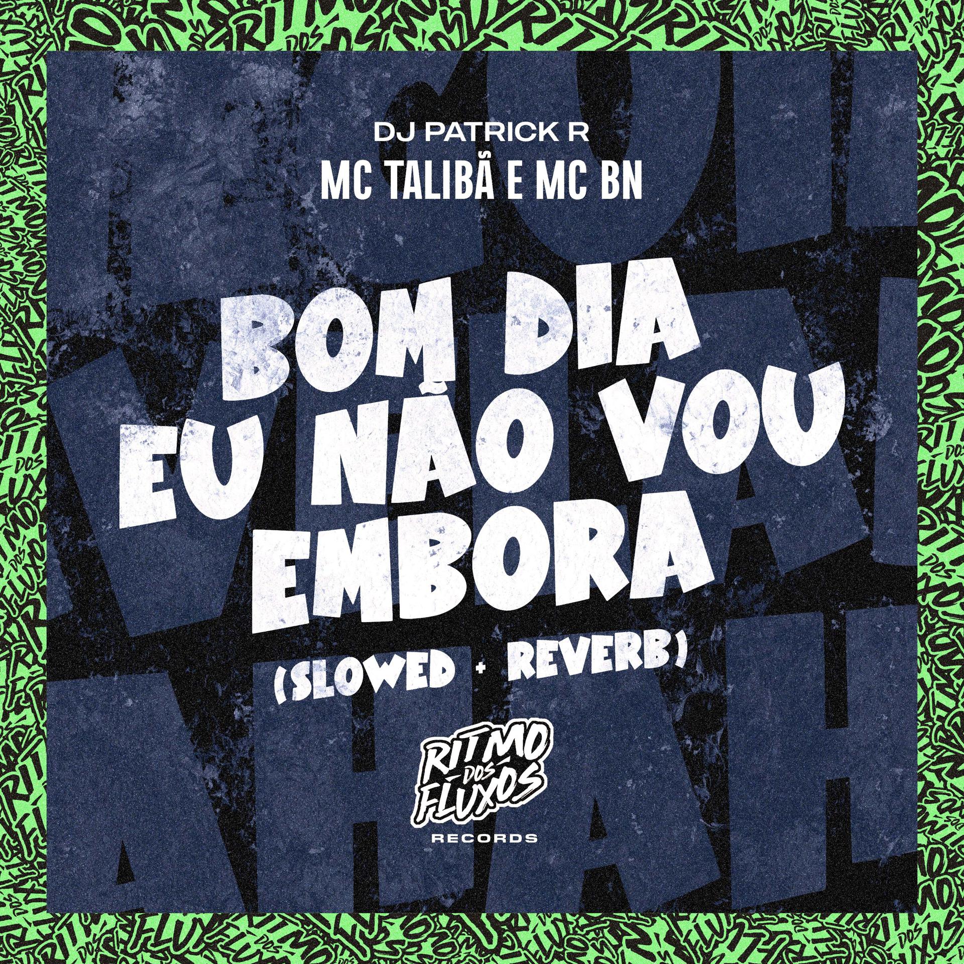 Постер альбома Bom Dia Eu Não Vou Embora (Slowed + Reverb)