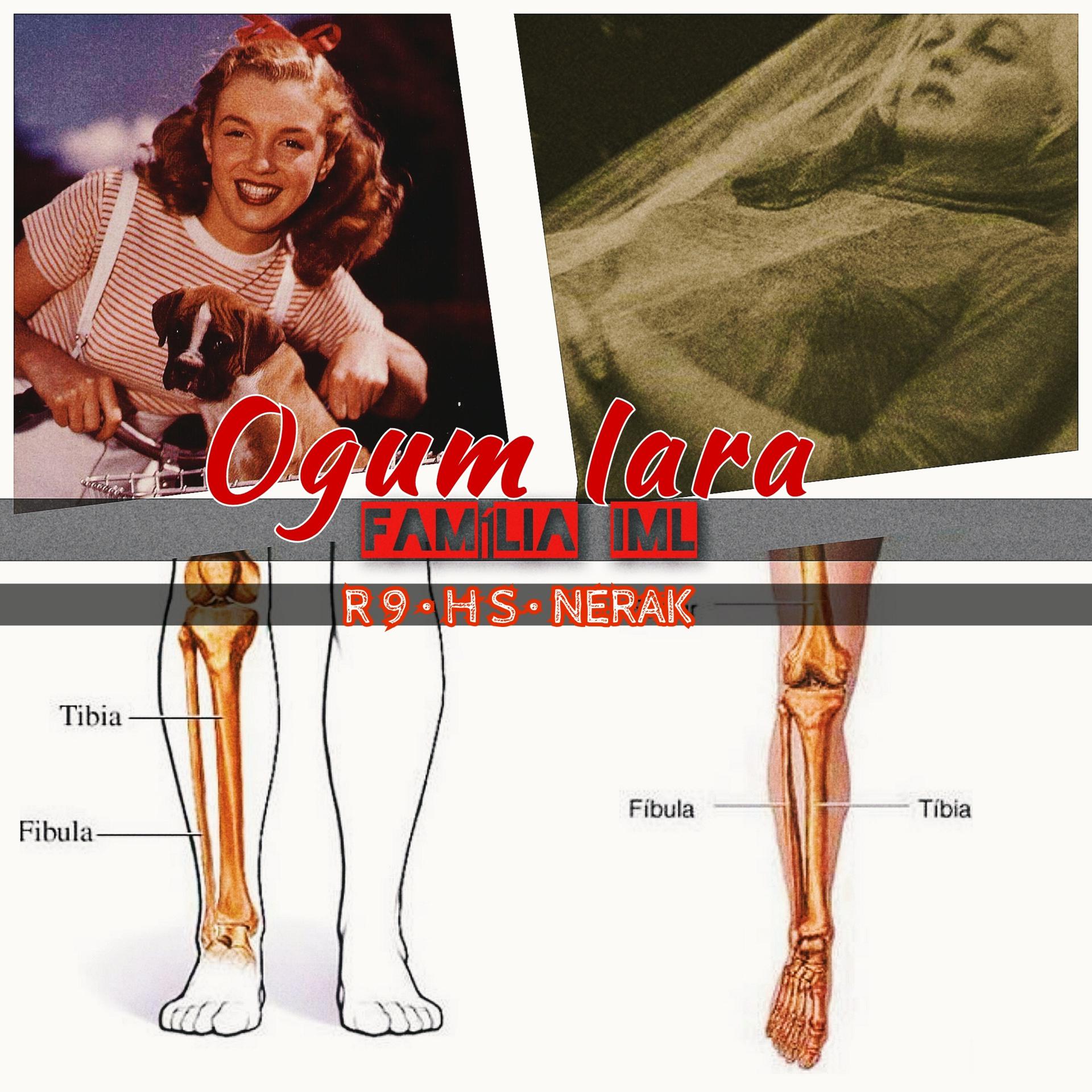 Постер альбома Ogum Iara (Família IML)