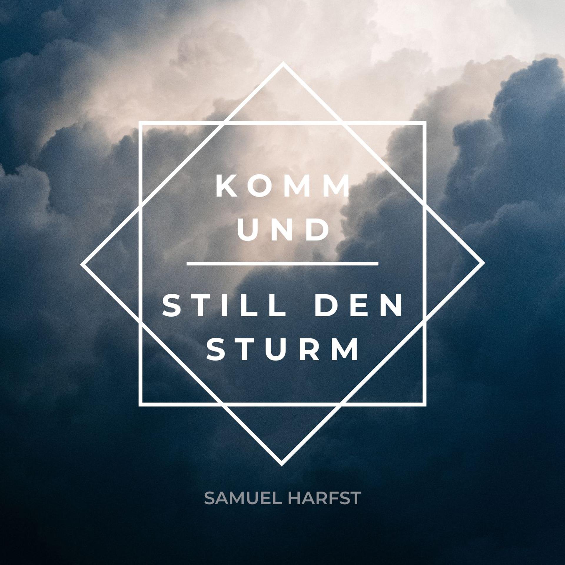 Постер альбома Komm und still den Sturm