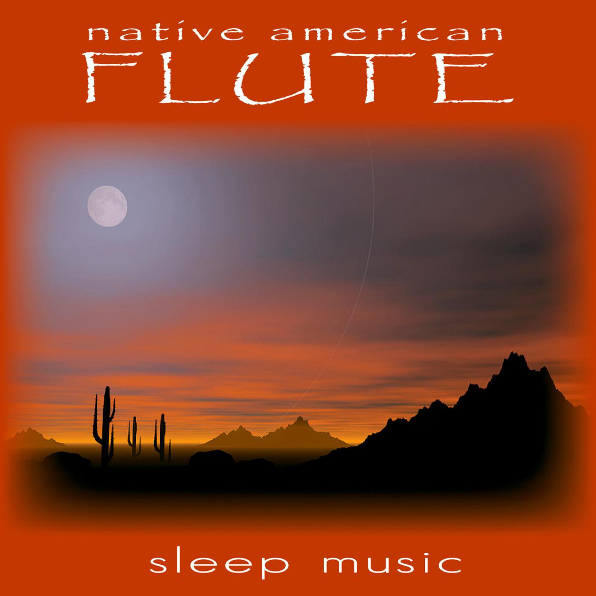 Постер альбома Sleep Music: Native American Flute