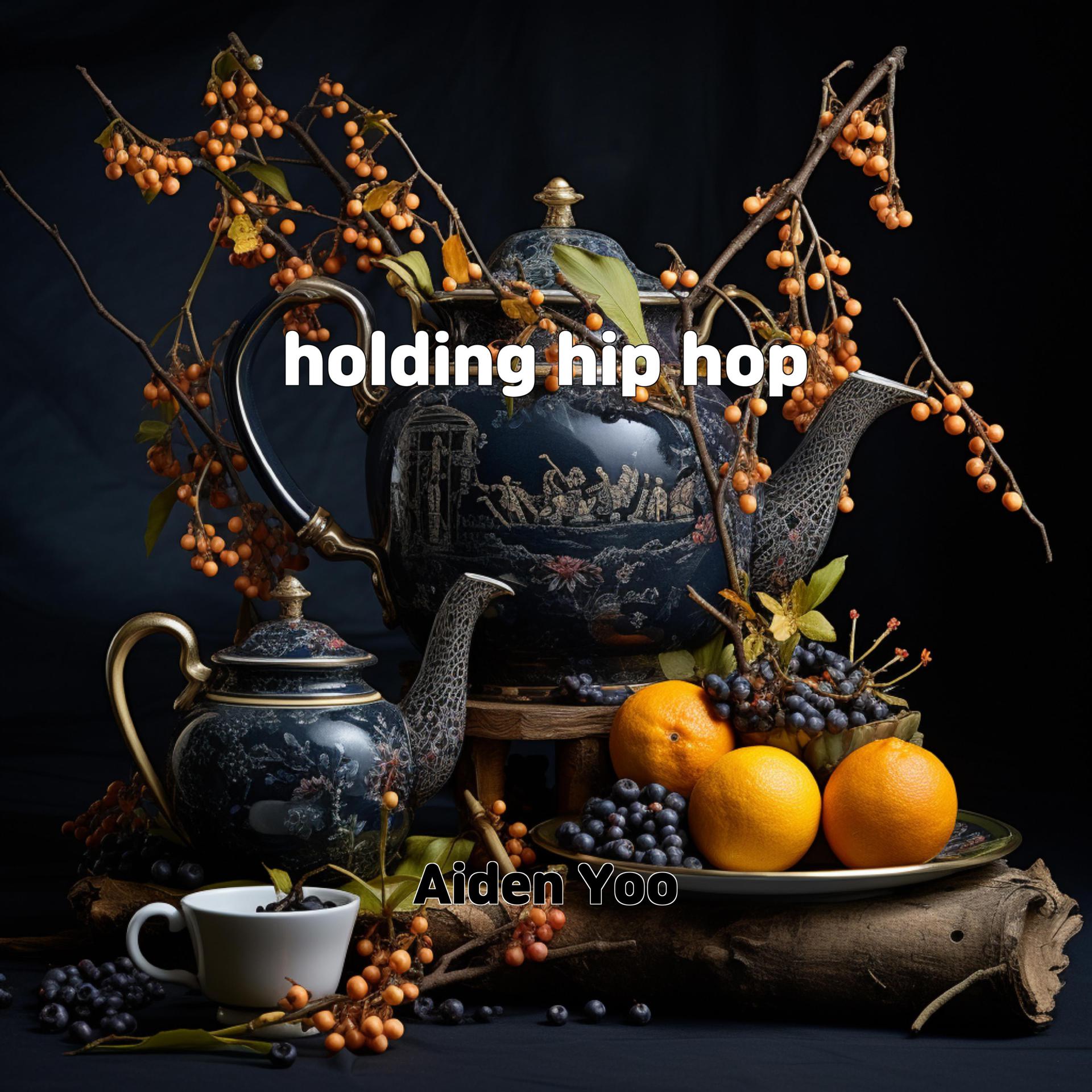 Постер альбома holding hip hop