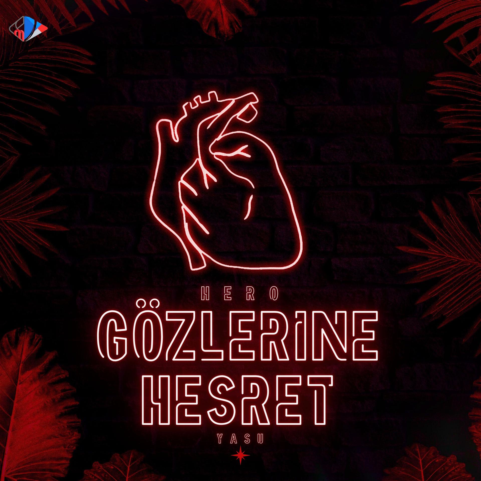 Постер альбома Gözlerine Hesret